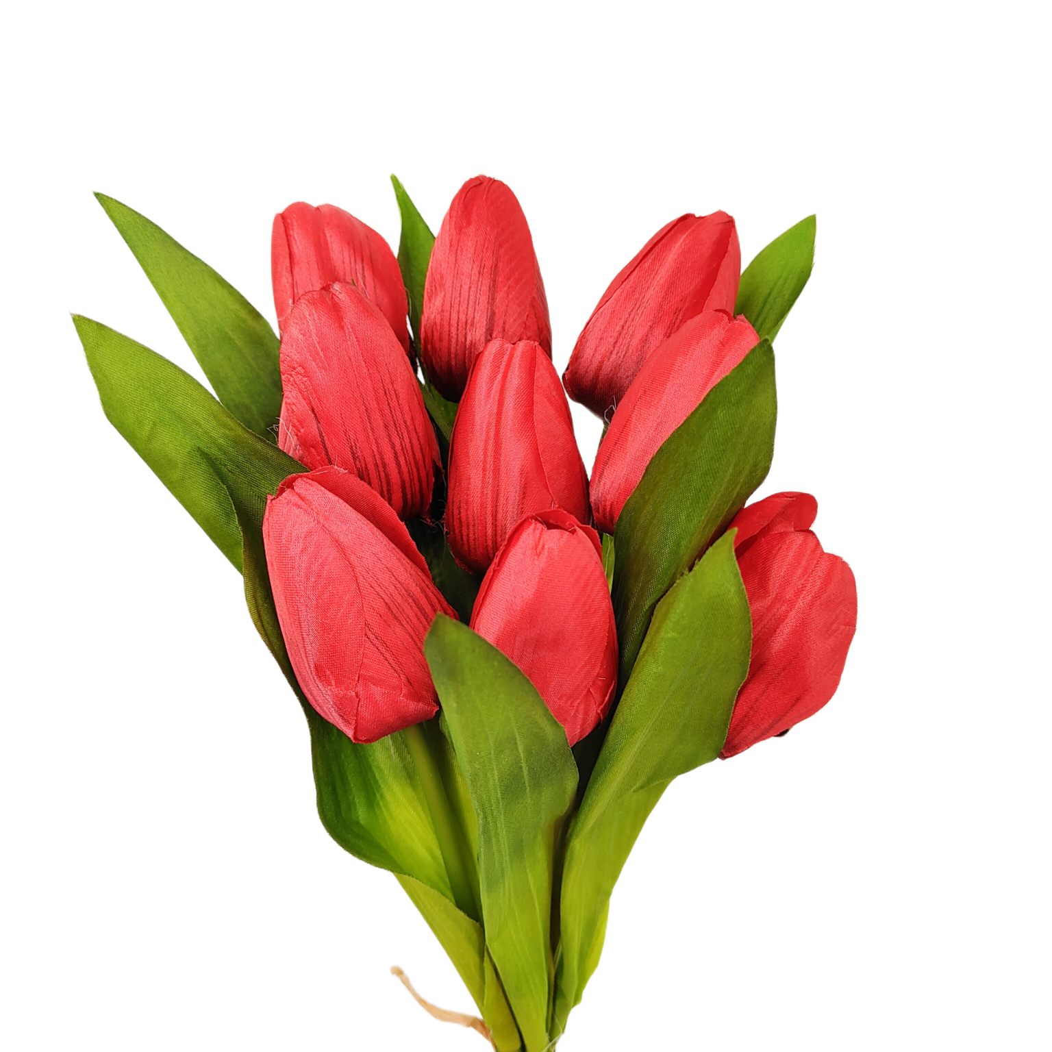 Tulipan pojedynczy czerwony 9 szt