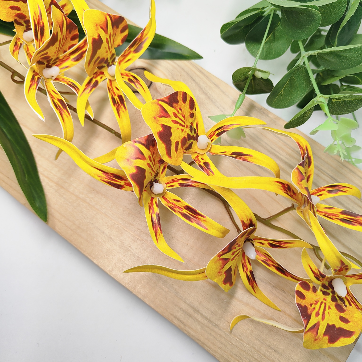 Storczyk pojedynczy guma żółty nakrapiany  środek