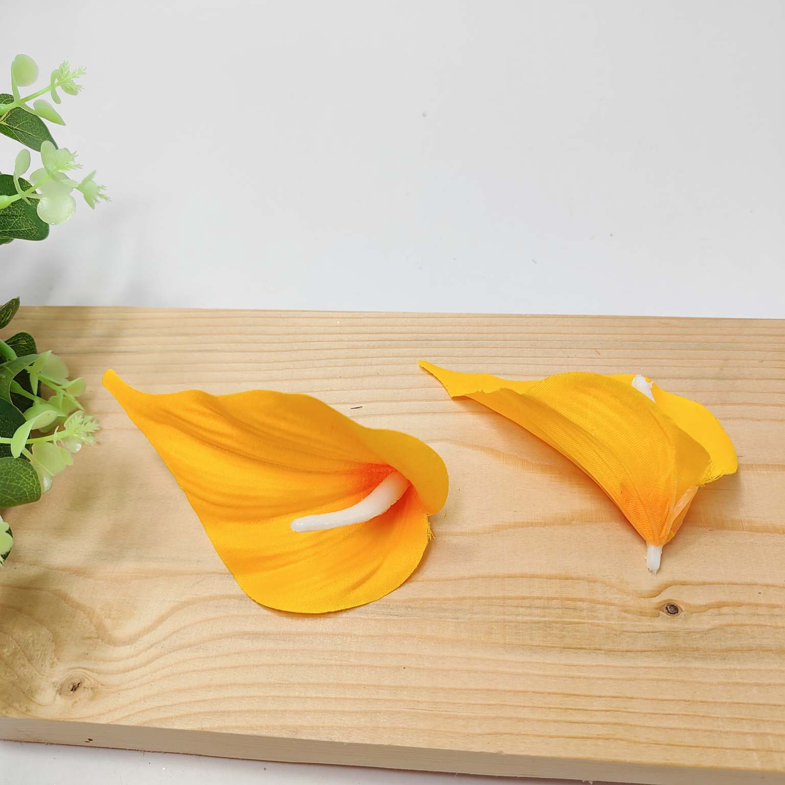 Calla wyr mała żółta 24 szt