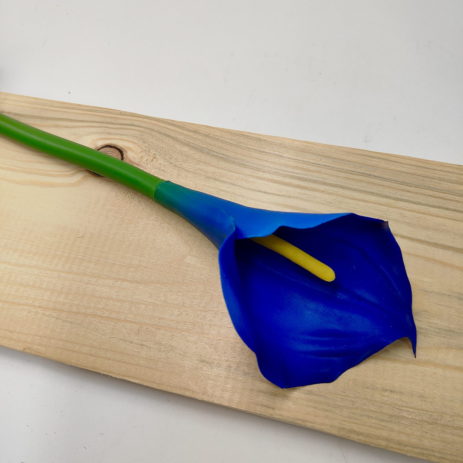 Calla pojedyncza gumowana new dk blue