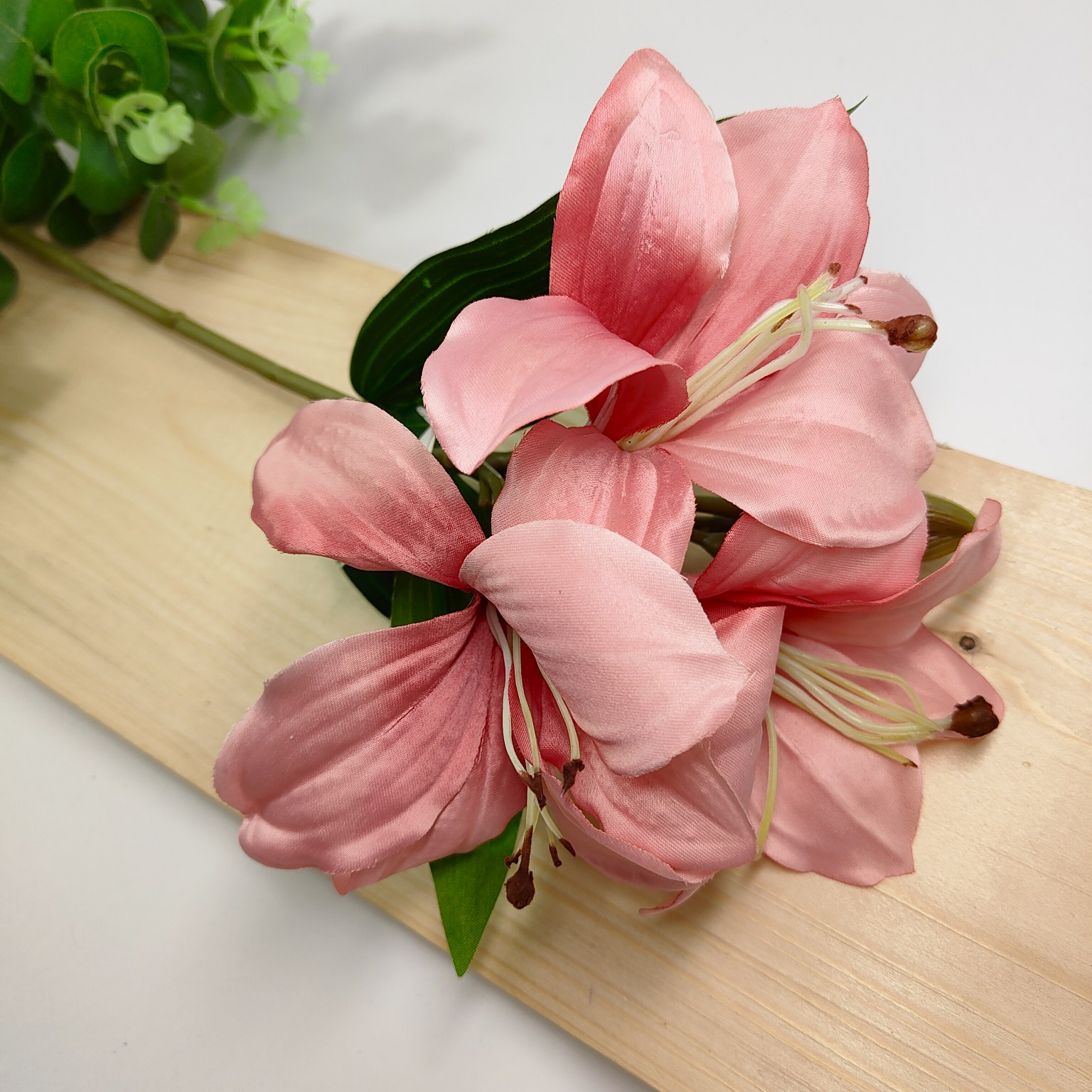 Liliowiec pojedynczy x3 łososiowy róż