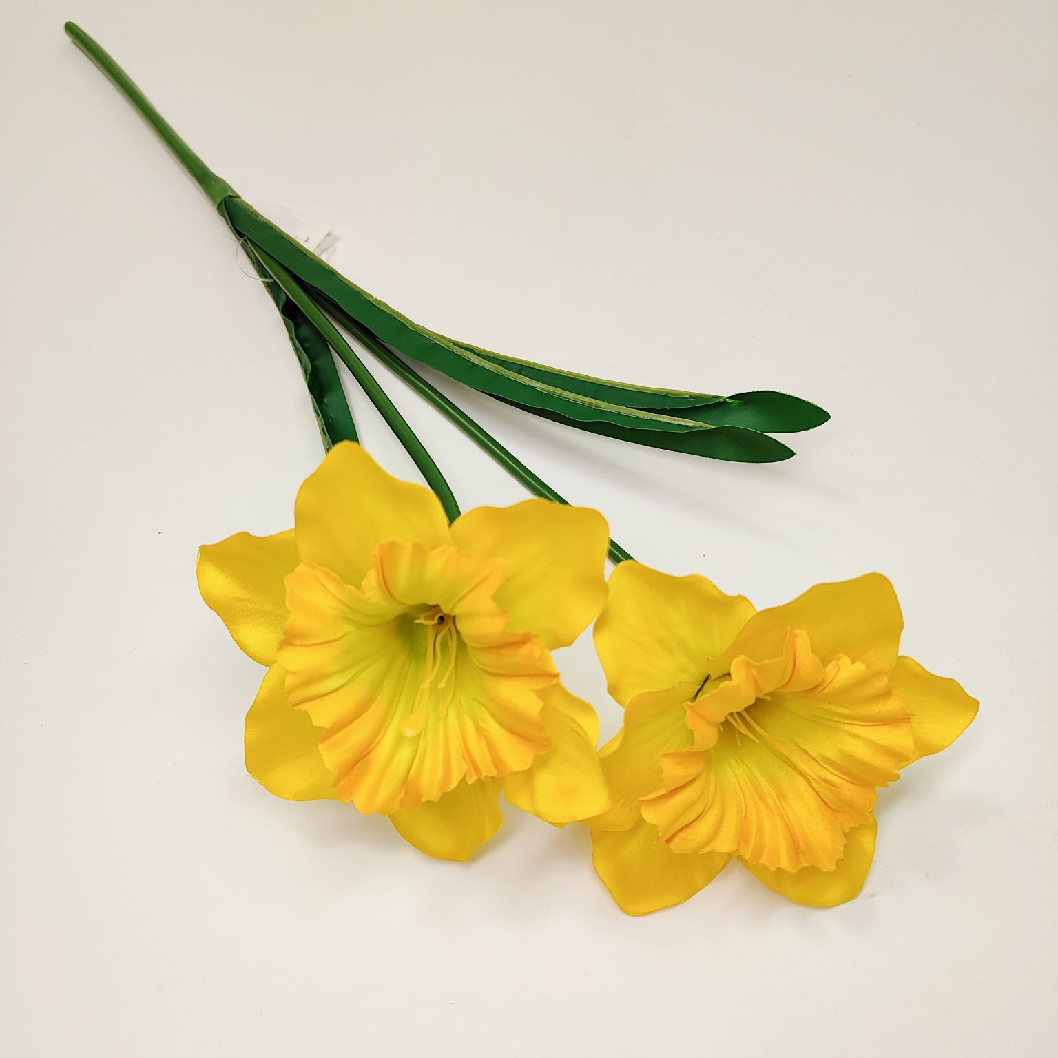 Żonkil żółto zielony pojedynczy x2 łodyga gumowana