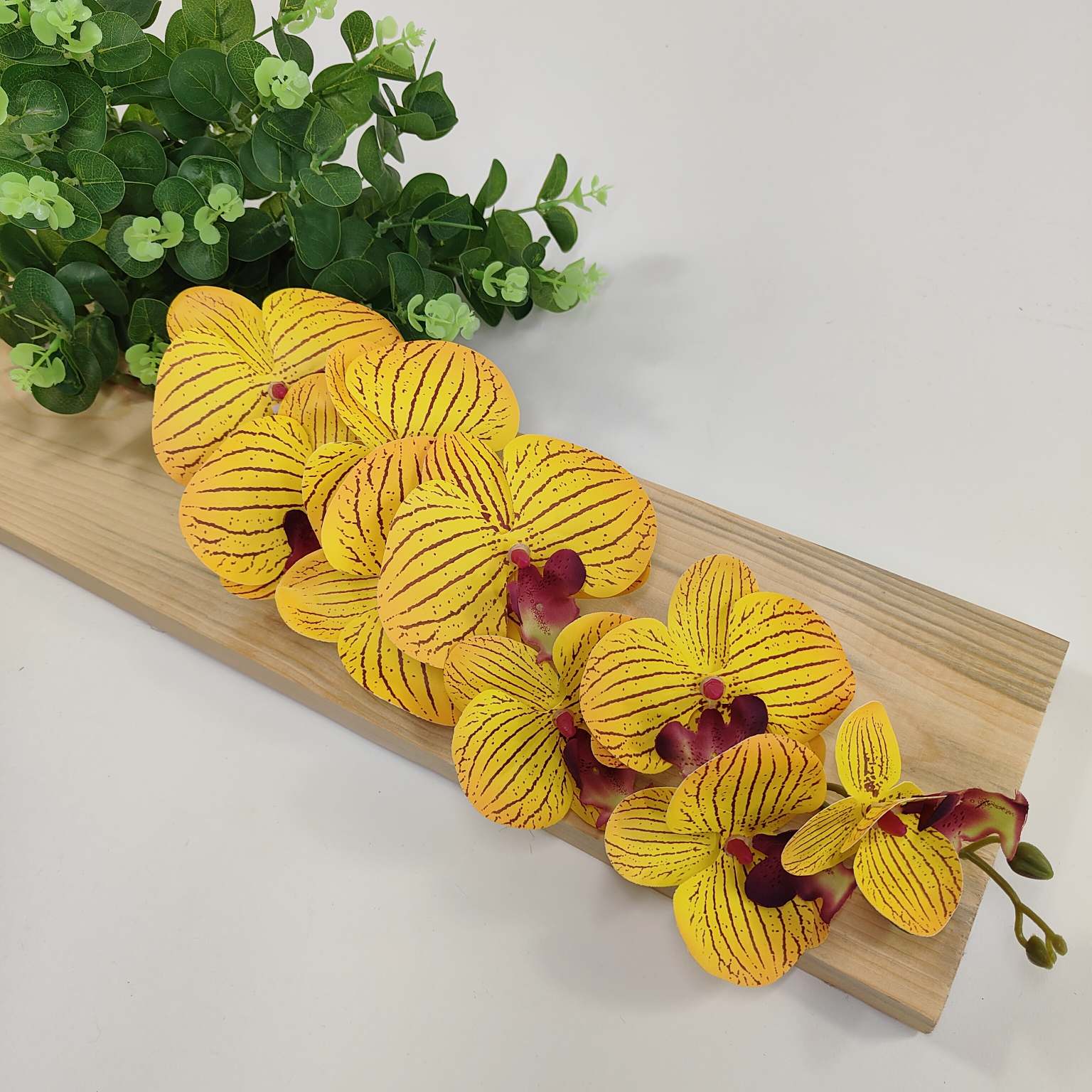 Storczyk pojedynczy gumowany żółty- brązowy prążek