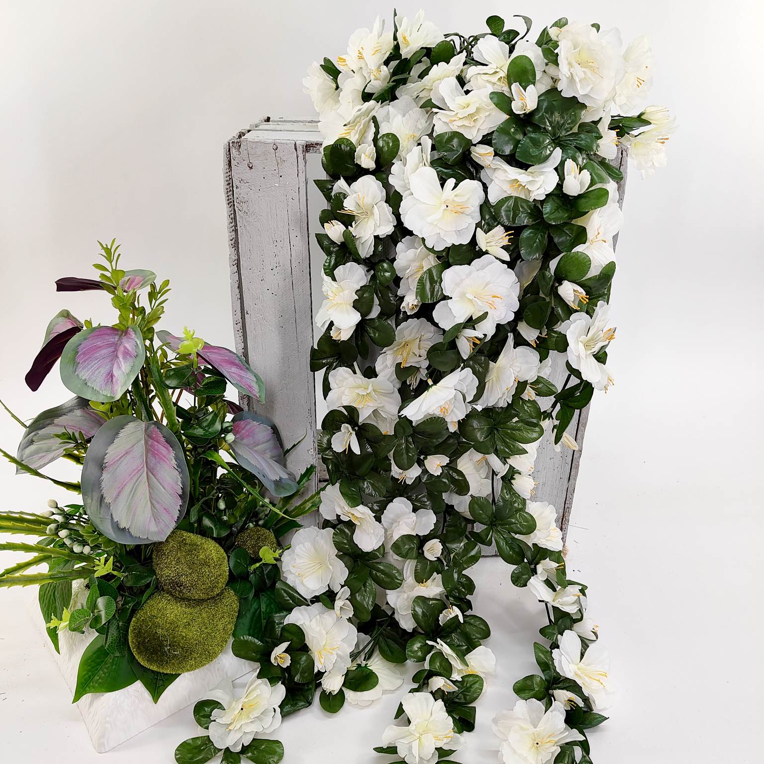 Azalia zwisająca biała