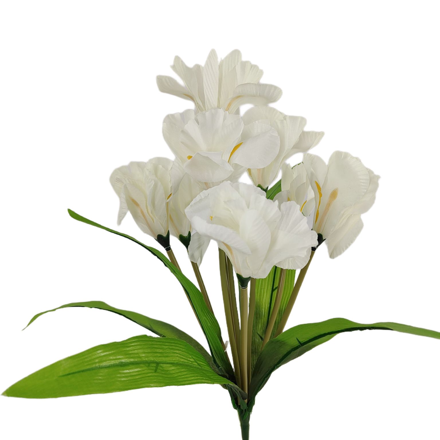 Bukiet irys x9 kremowy