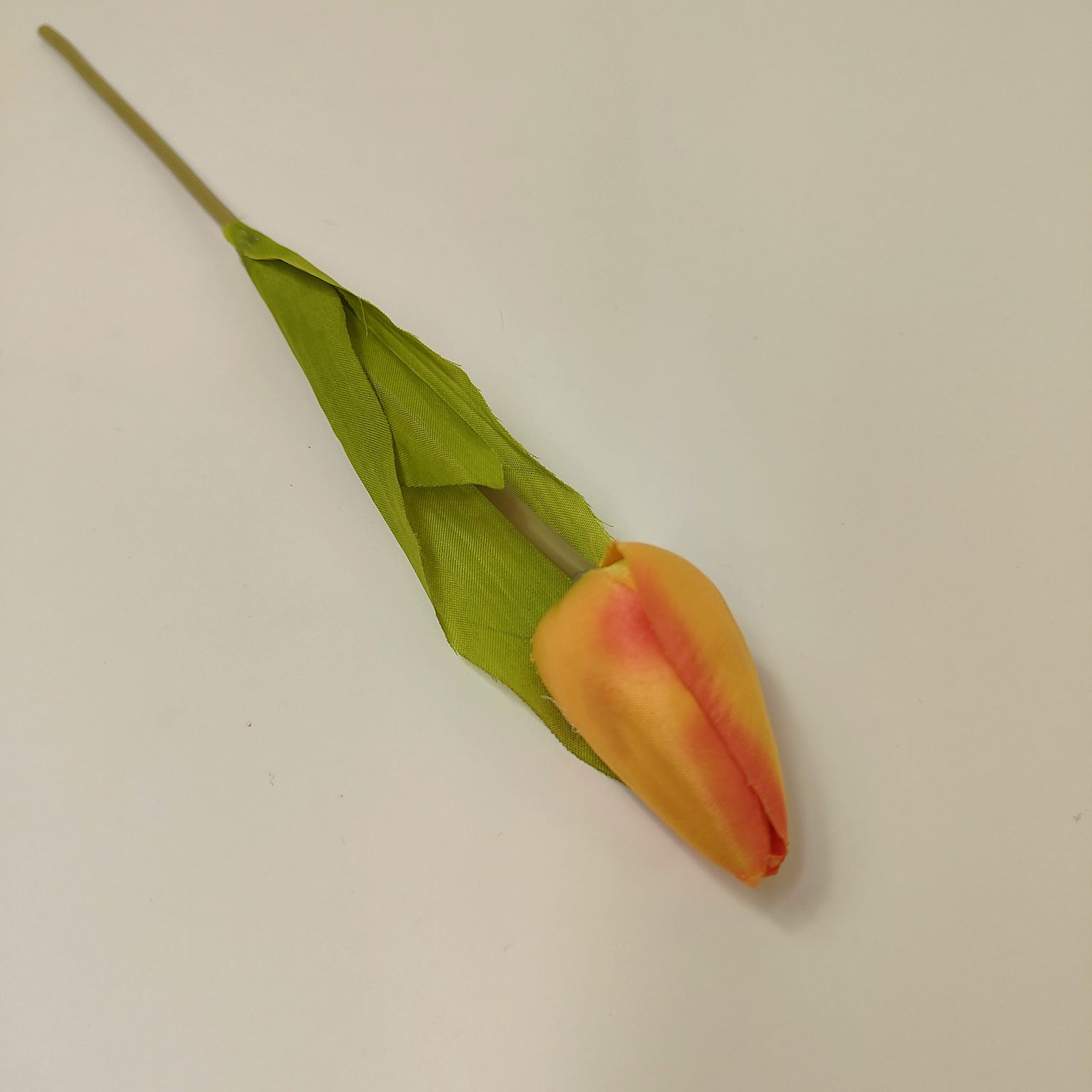 Tulipan pojedynczy M561-1 pomarańczowy