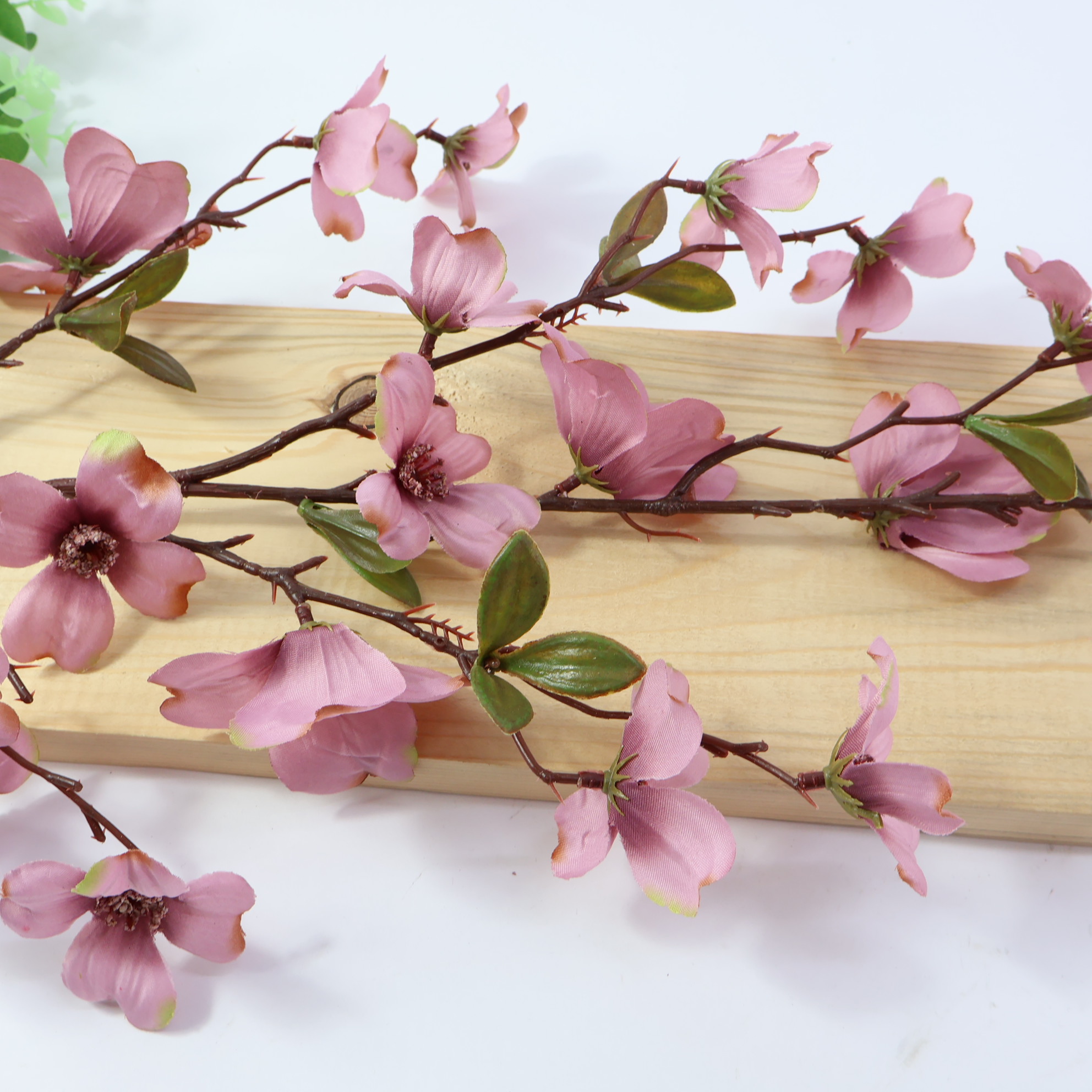 Gałązka dereń fioletowa