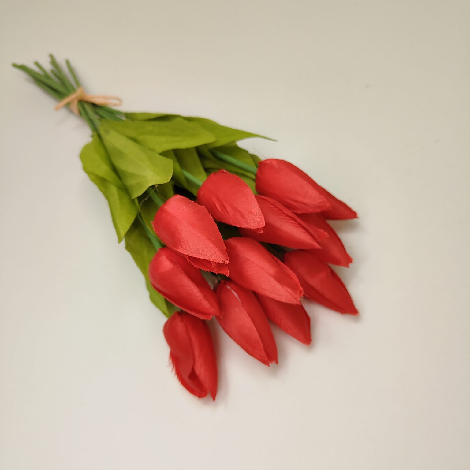 Tulipan pojedynczy M701 czerwony 12 szt