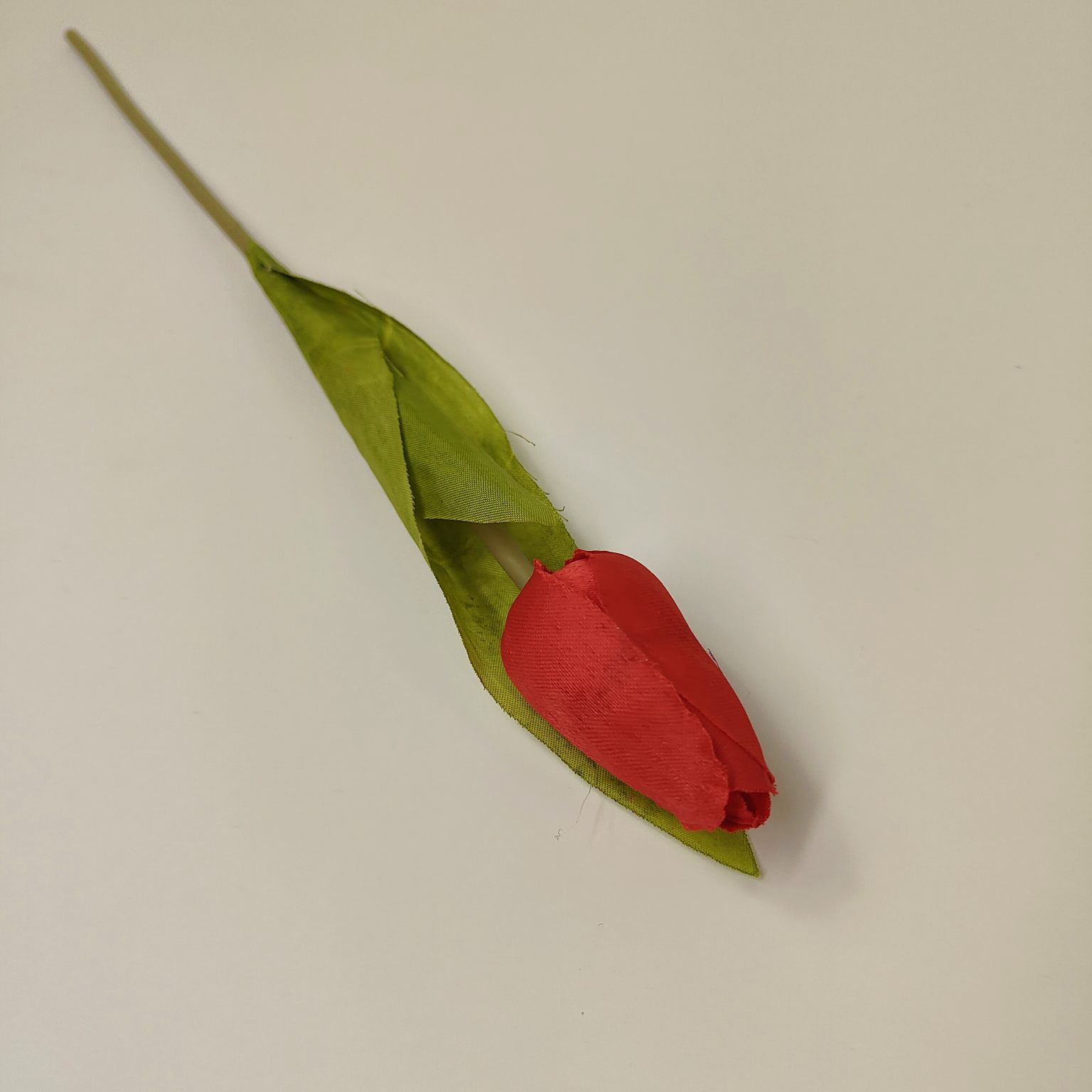 Tulipan pojedynczy M561-5 czerwony