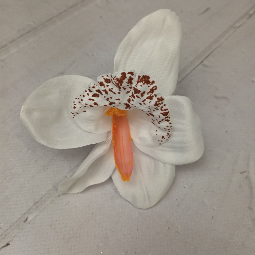 Storczyk wyrobowy 24szt