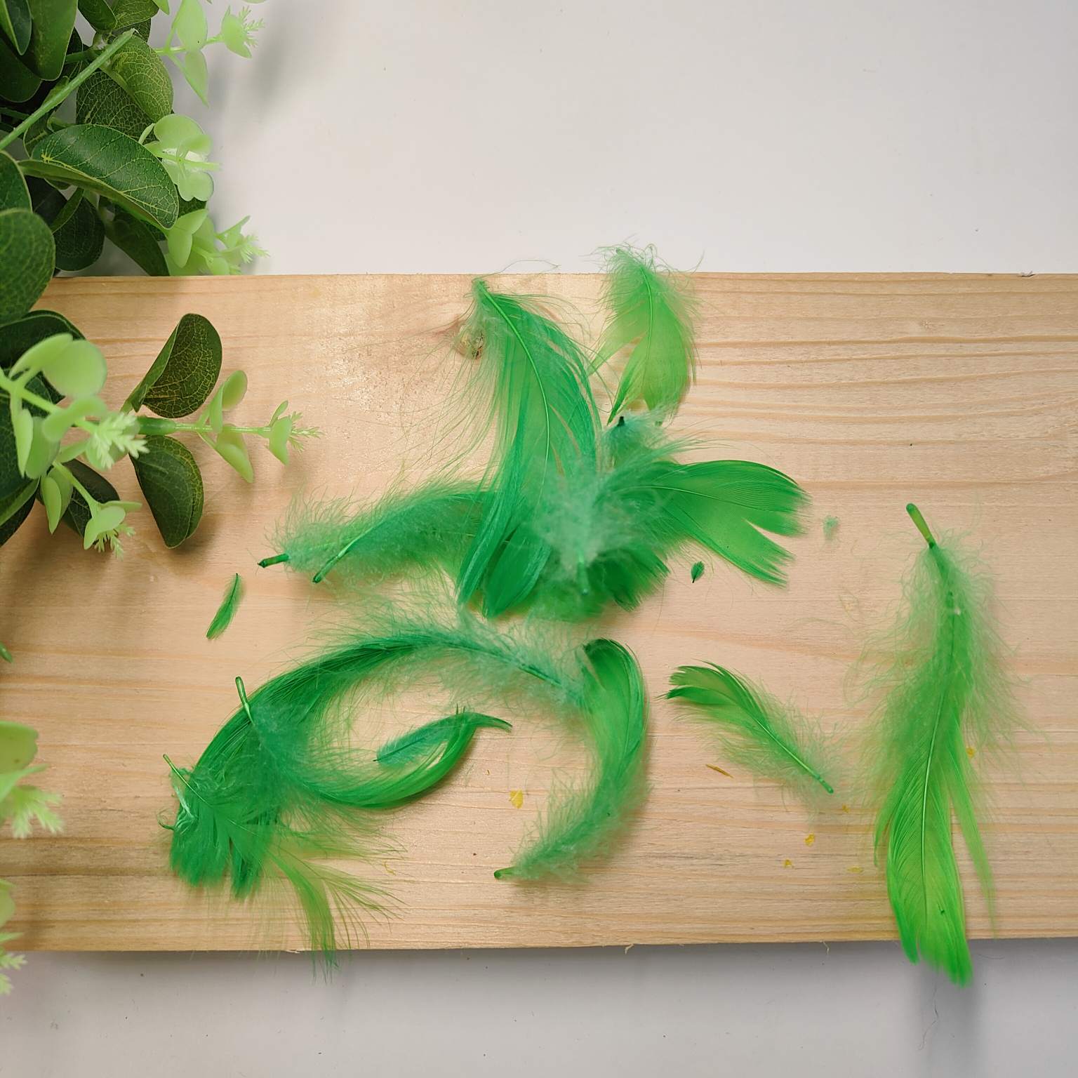 Piórka opakowanie 15g zielone