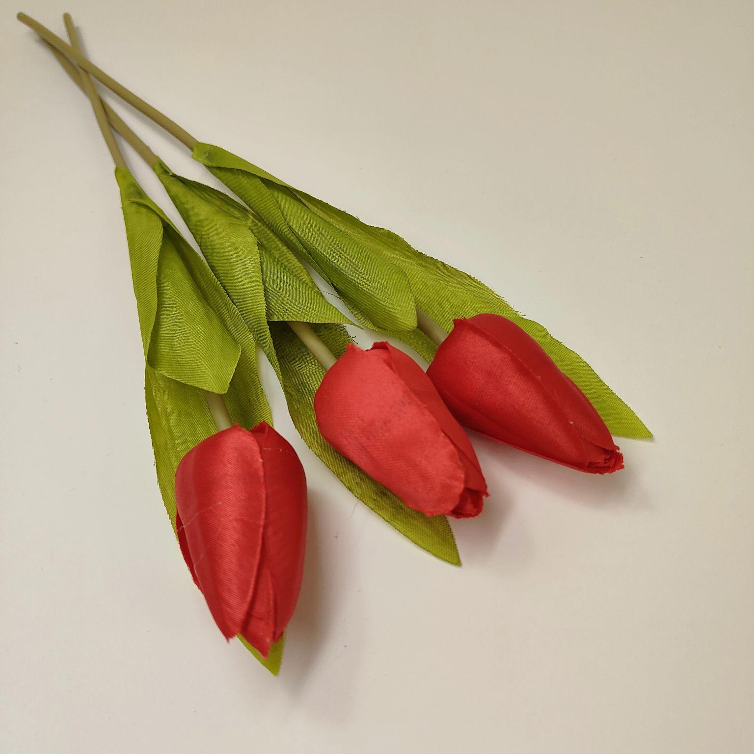 Tulipan pojedynczy M561-5 czerwony