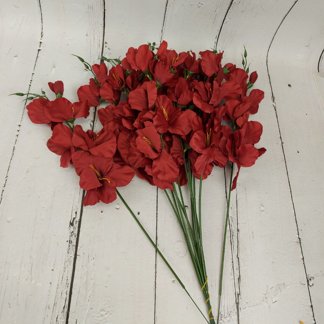 Mieczyk pojedynczy dk red 12 szt