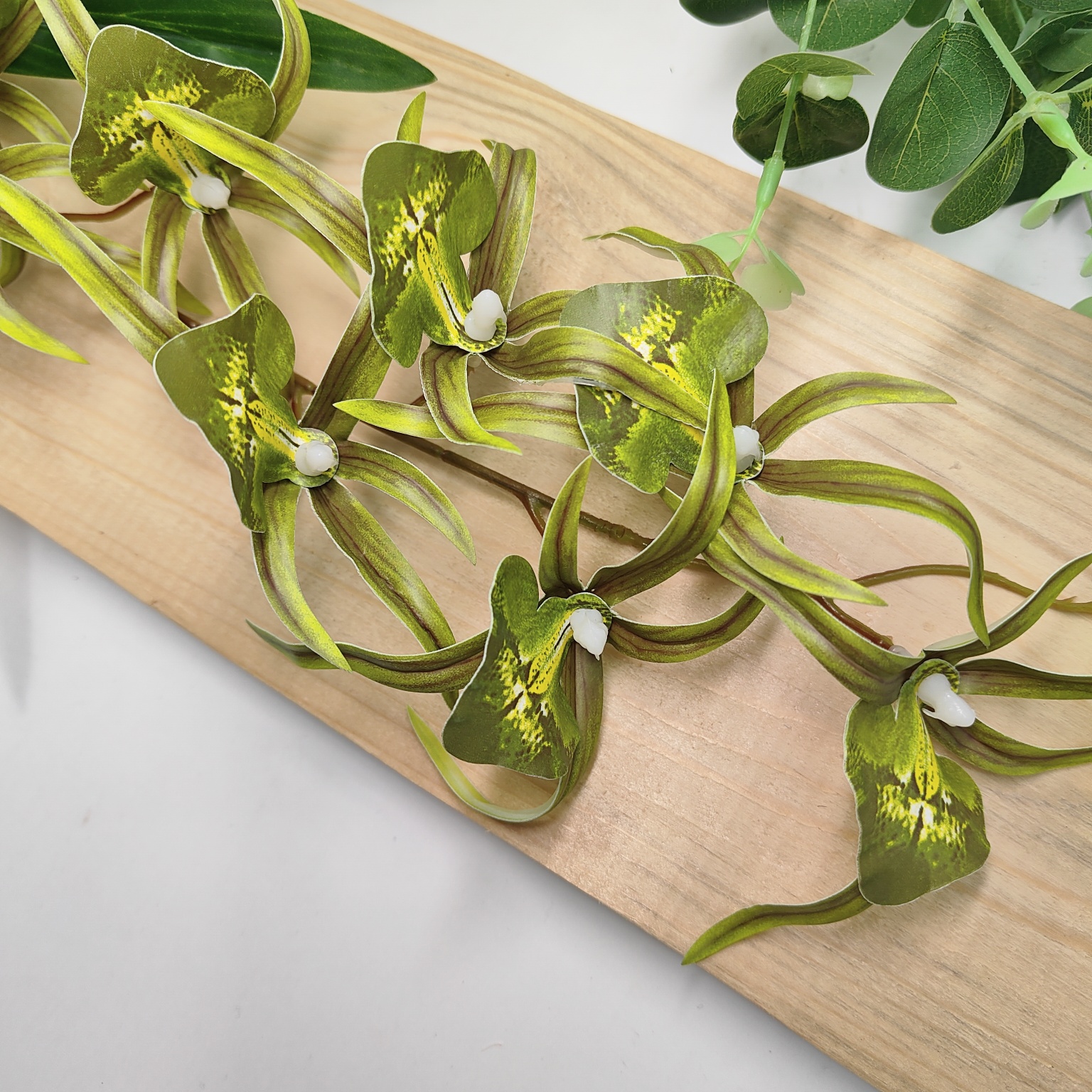 Storczyk pojedynczy gumowany zielony