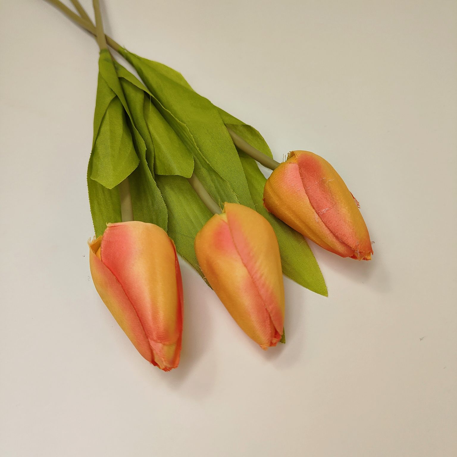 Tulipan pojedynczy M561-1 pomarańczowy