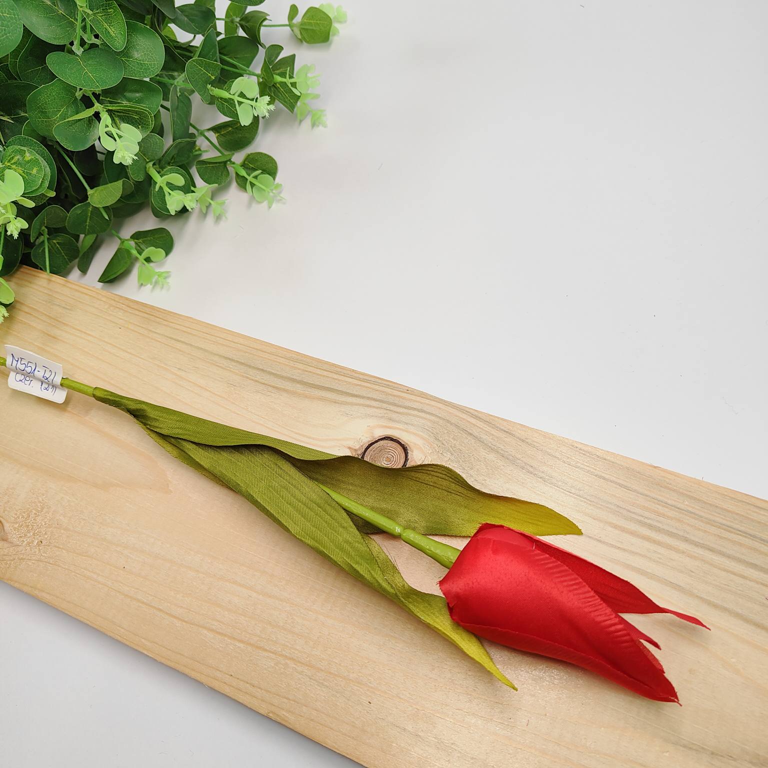 Tulipan pojedynczy czerwony