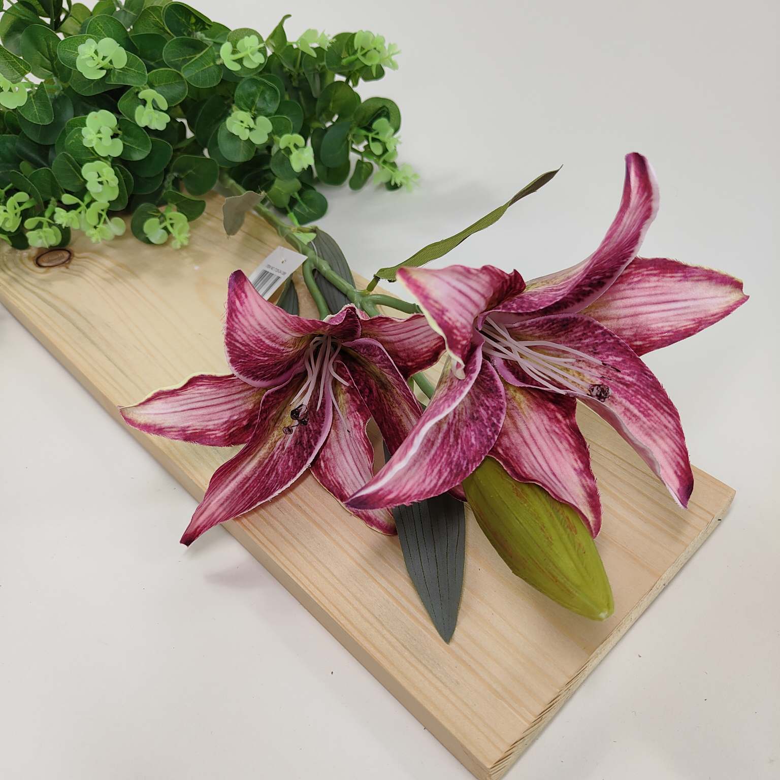 Lilia pojedyncza x2 biskupia