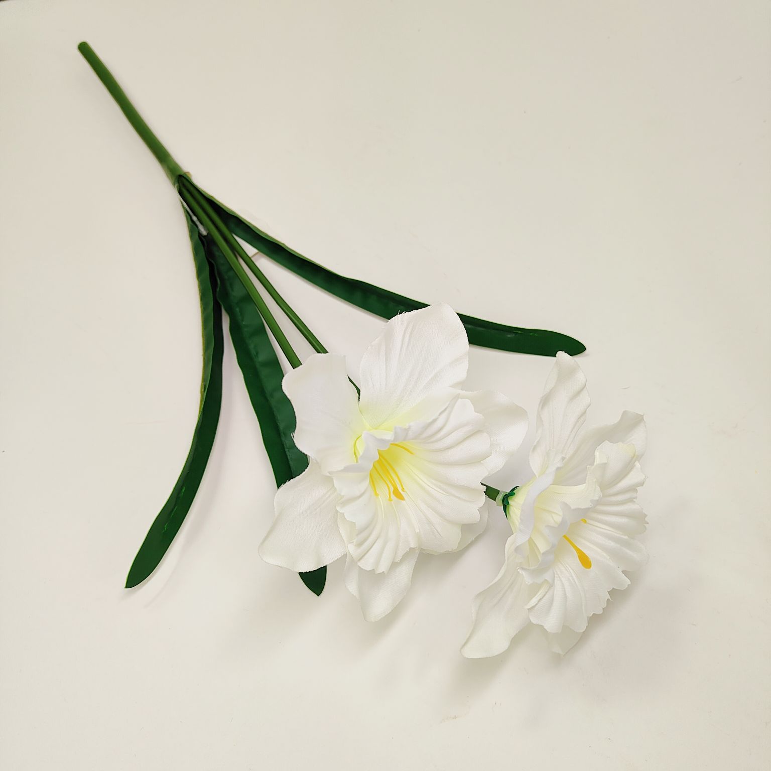 Żonkil kremowy pojedynczy x2 łodyga gumowana