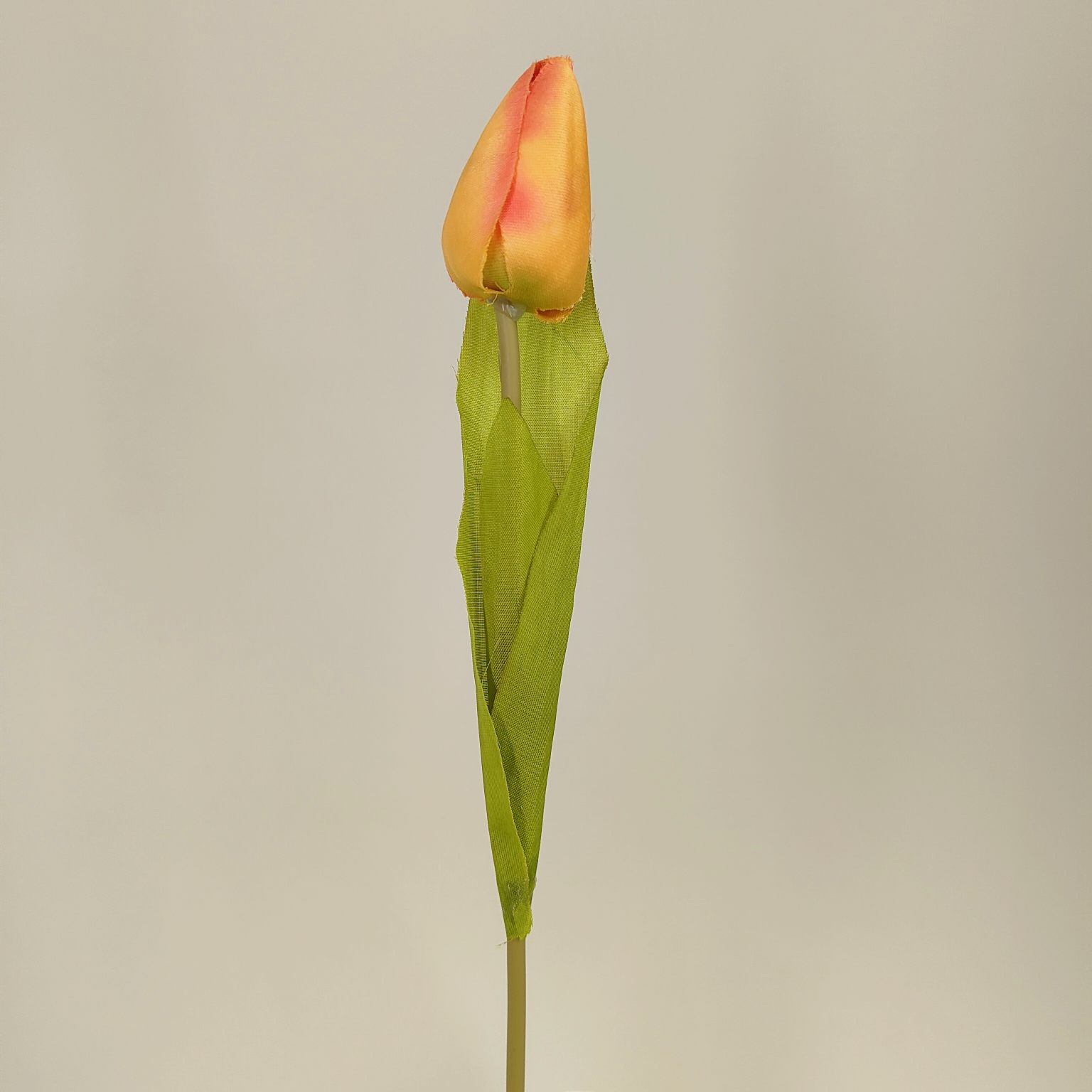 Tulipan pojedynczy M561-1 pomarańczowy