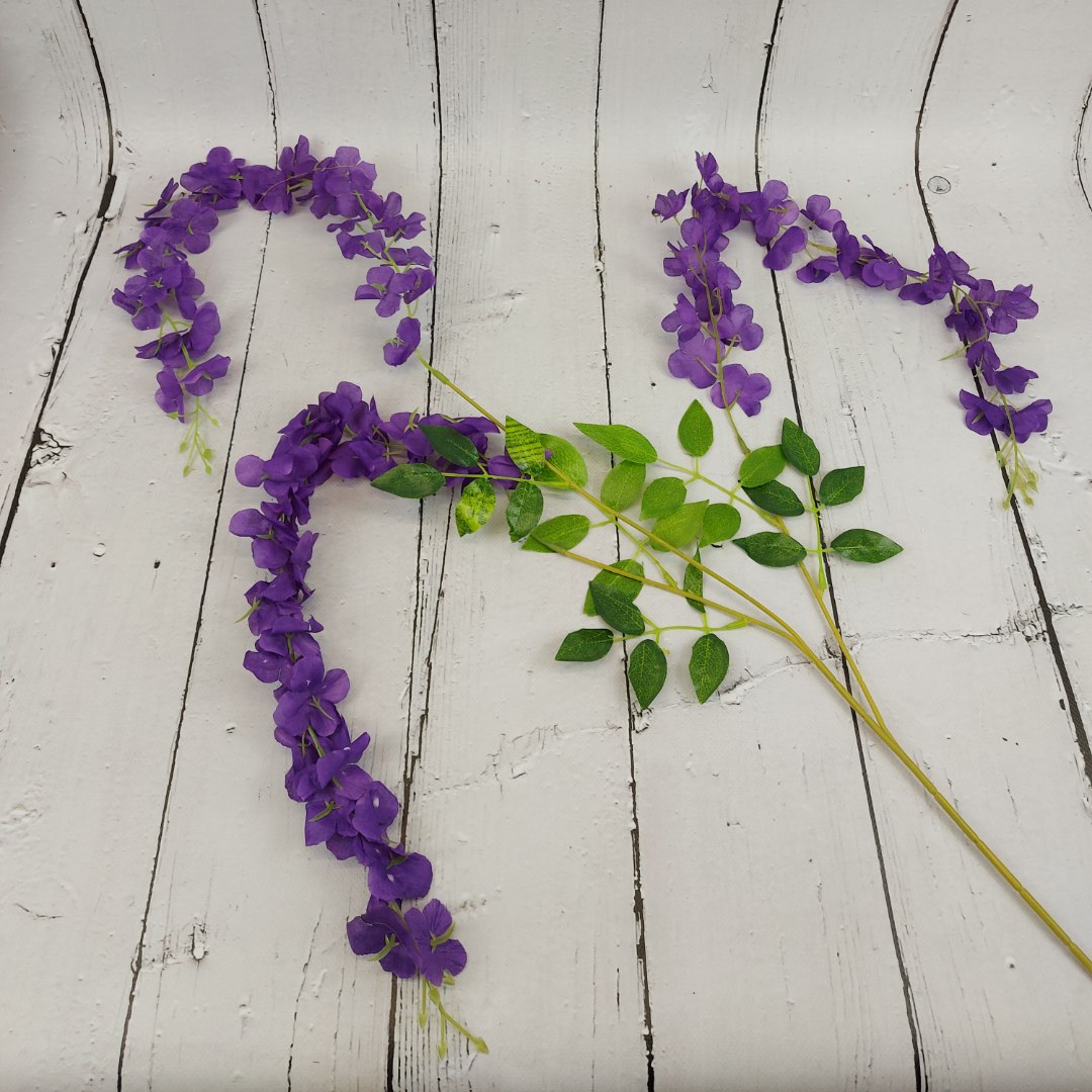 Wisteria ciemny fiolet