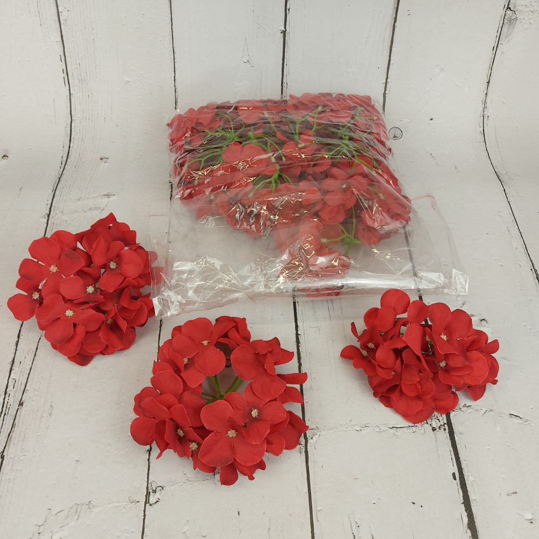 Hortensja wyrobowa red 12szt