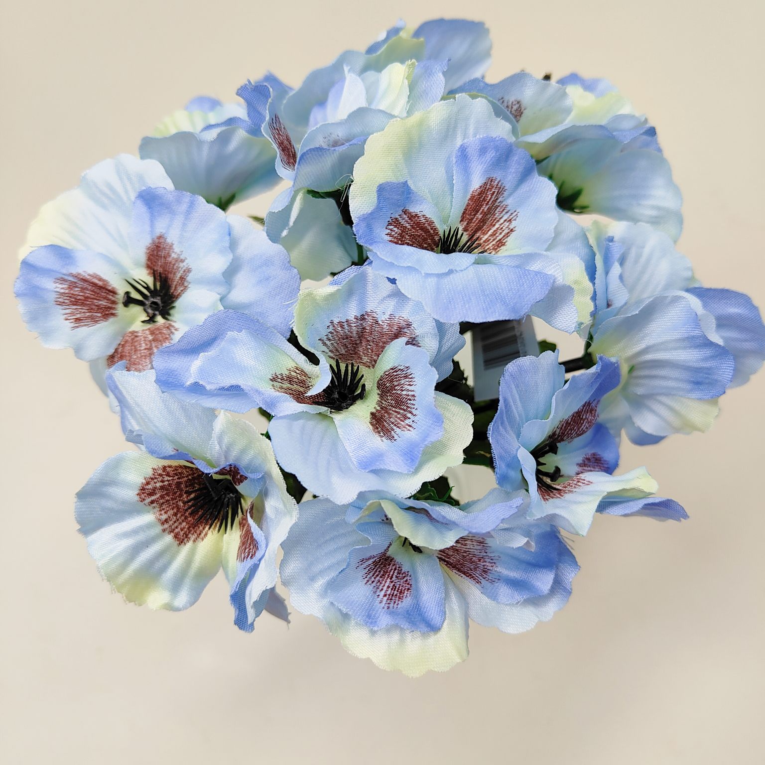 Bukiecik bratek niebieski