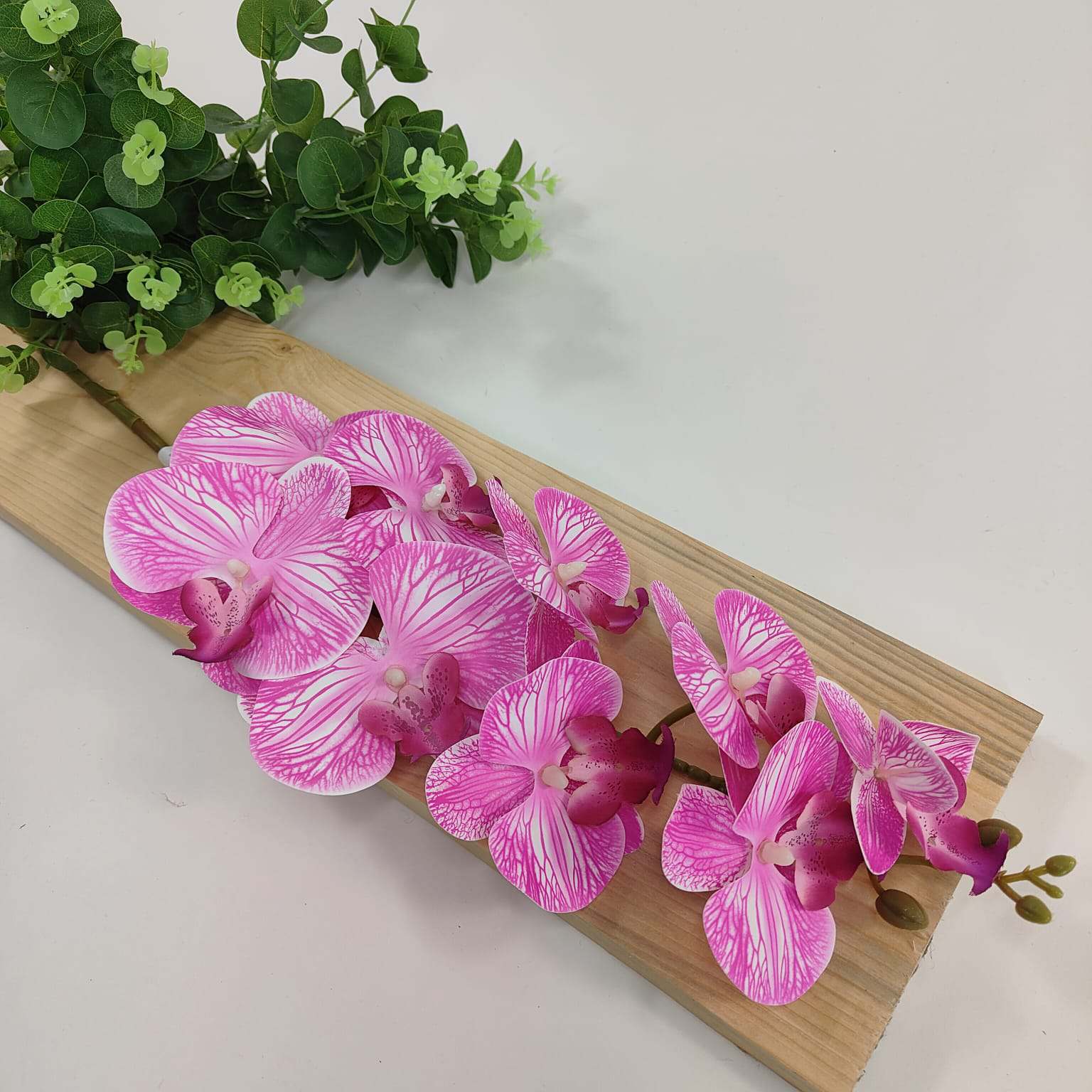 Storczyk pojedynczy gumowany różowy prążek