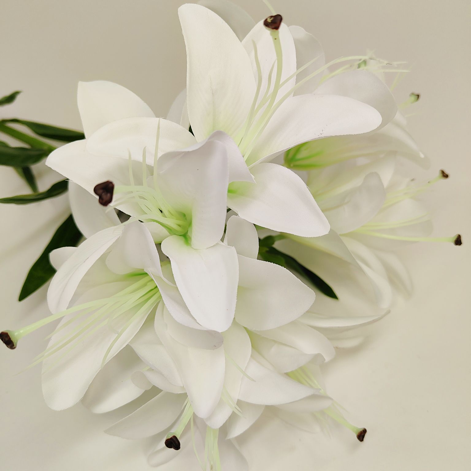 Lilia pojedyncza biała