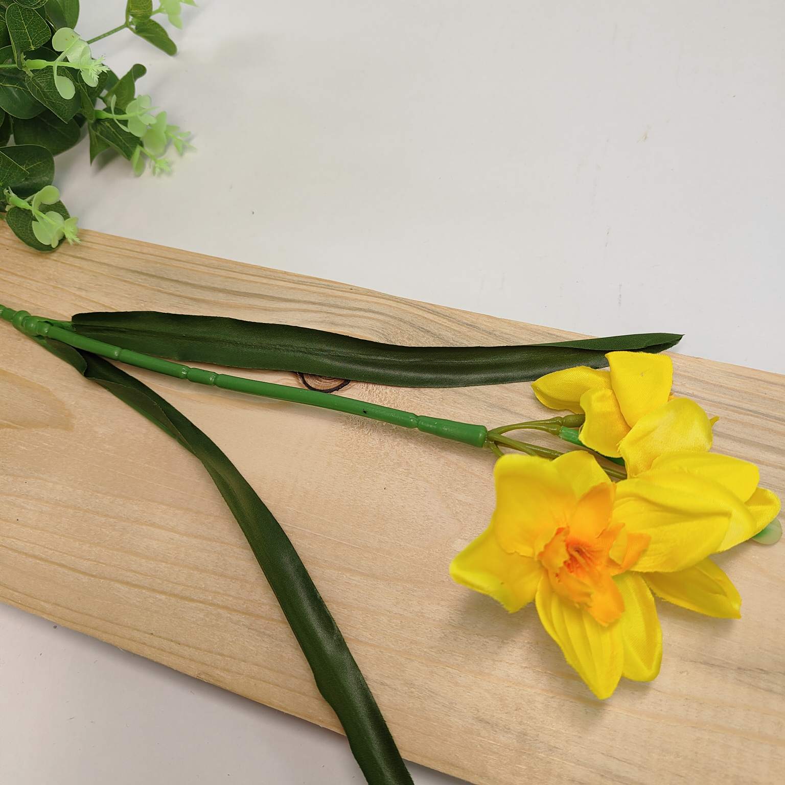 Narcyz pojedynczy żółty