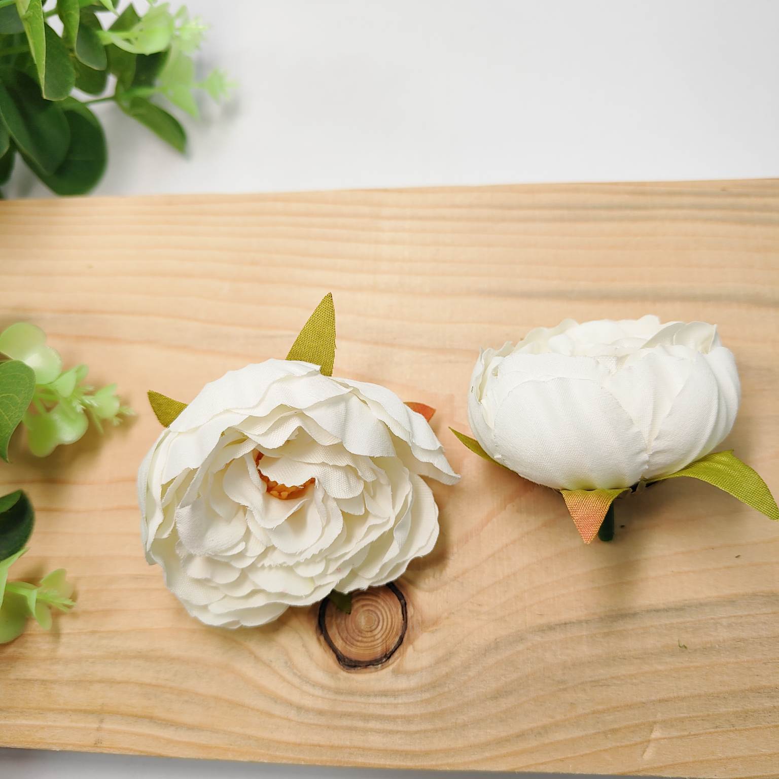 Peonia wyrobowa 12szt