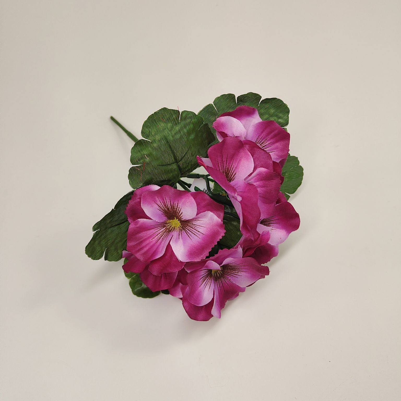 Bukiecik bratek biskupi