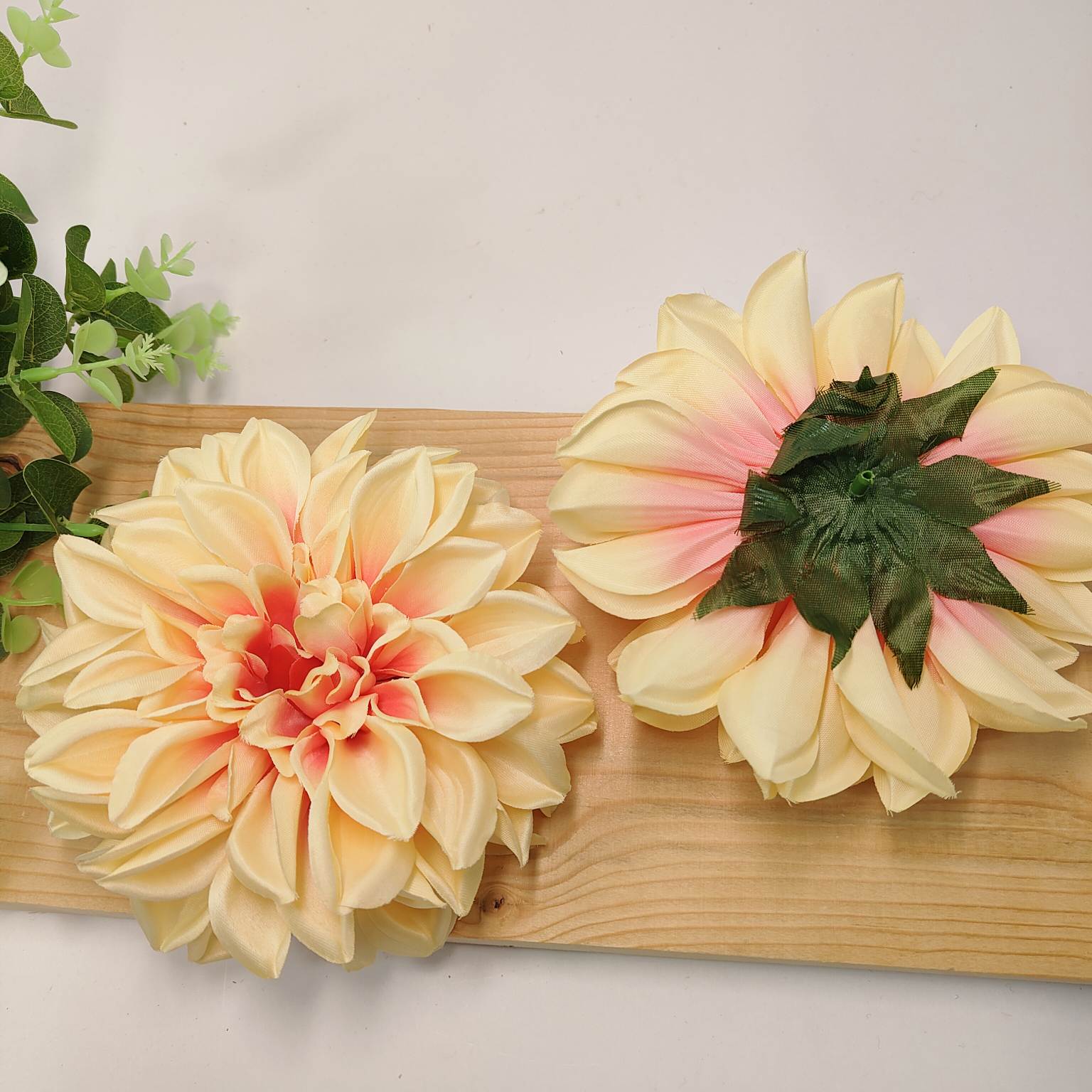 Dalia wyrobowa salmon