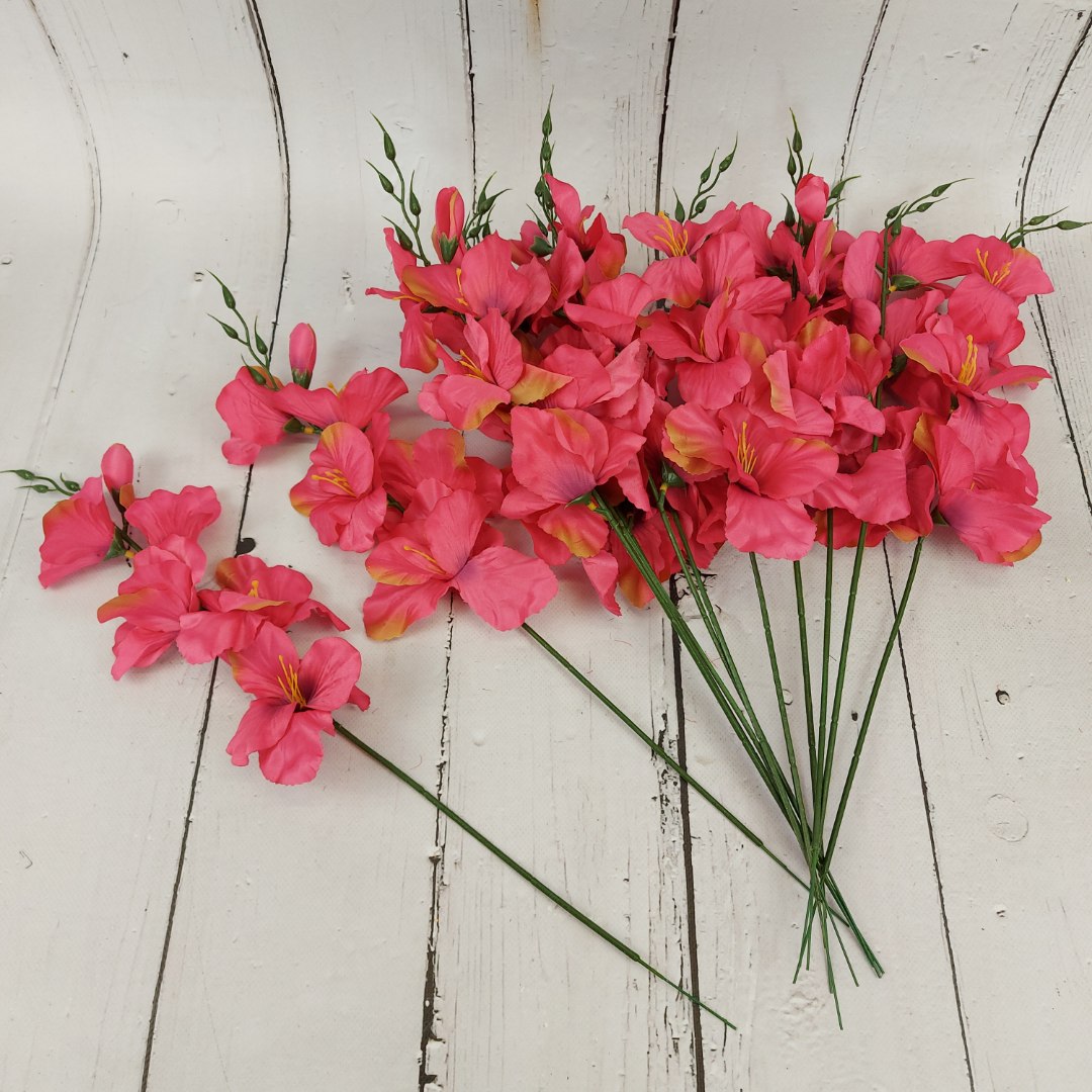 Mieczyk pojedynczy dk pink 12 szt