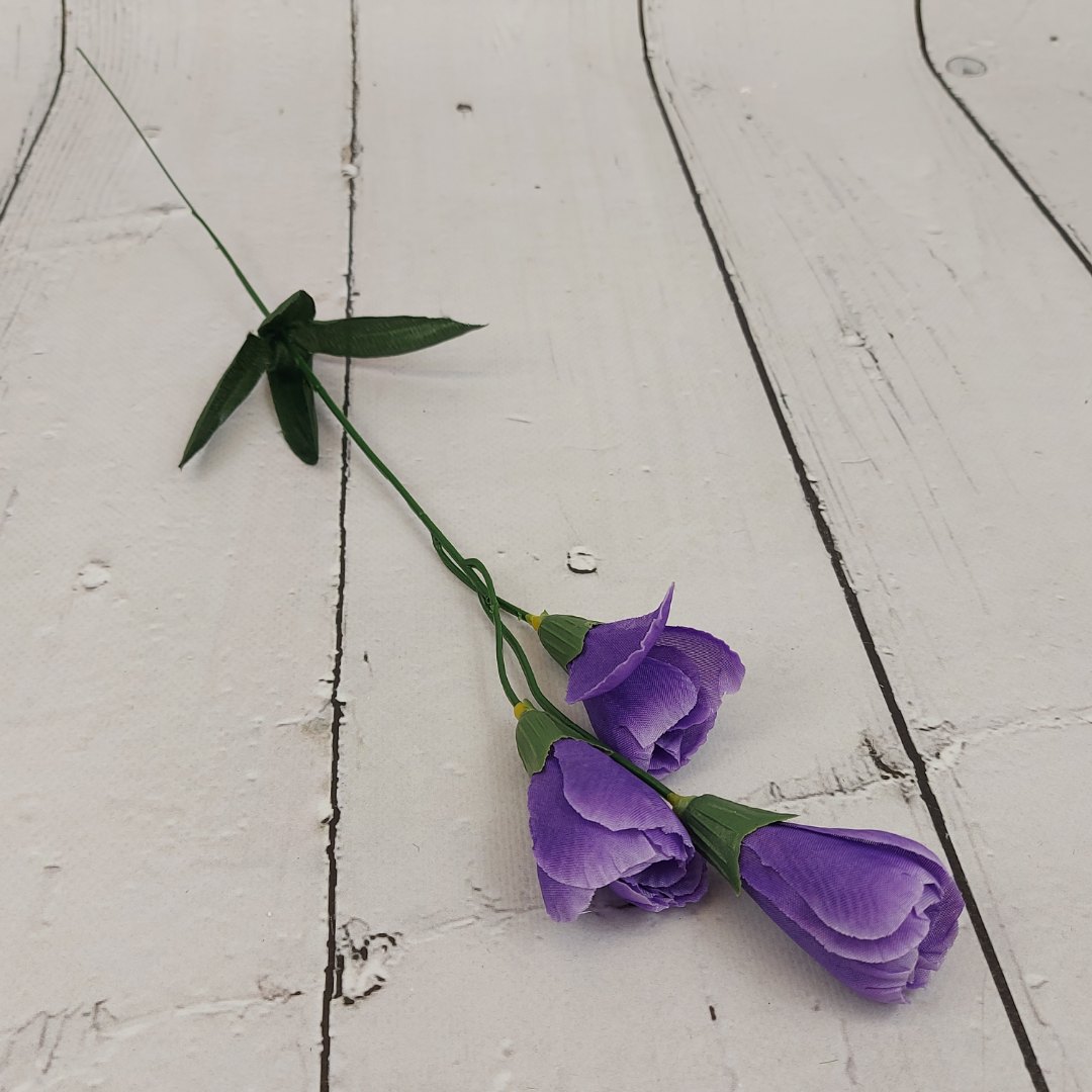 Krokus gałązka x3 ciemny fiolet