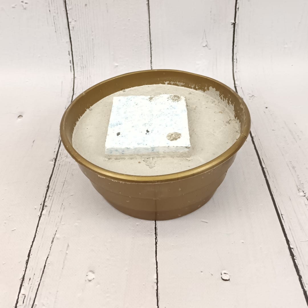 Doniczka zalana  '19