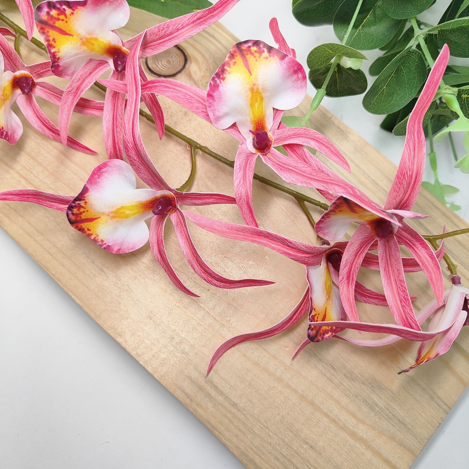 Storczyk pojedynczy gumowany różowy jasny środek