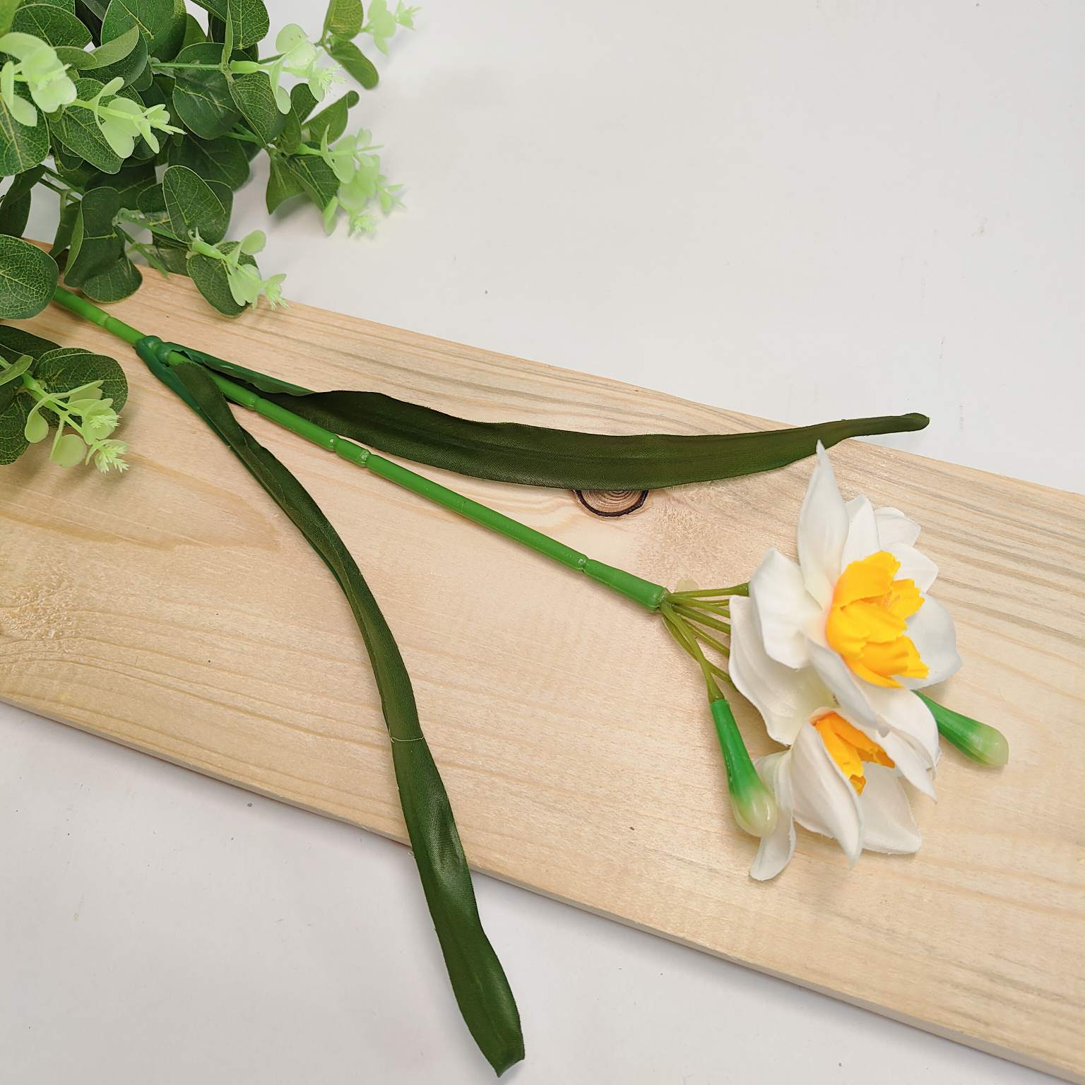 Narcyz pojedynczy biało  pomarańczowy