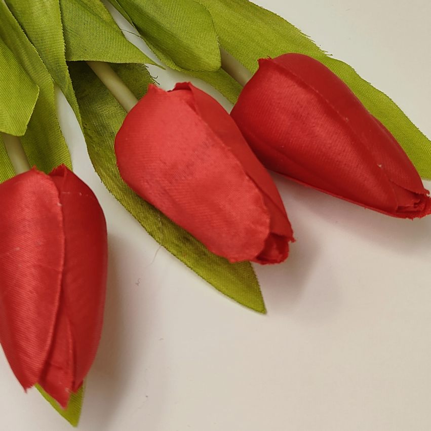 Tulipan pojedynczy M561-5 czerwony