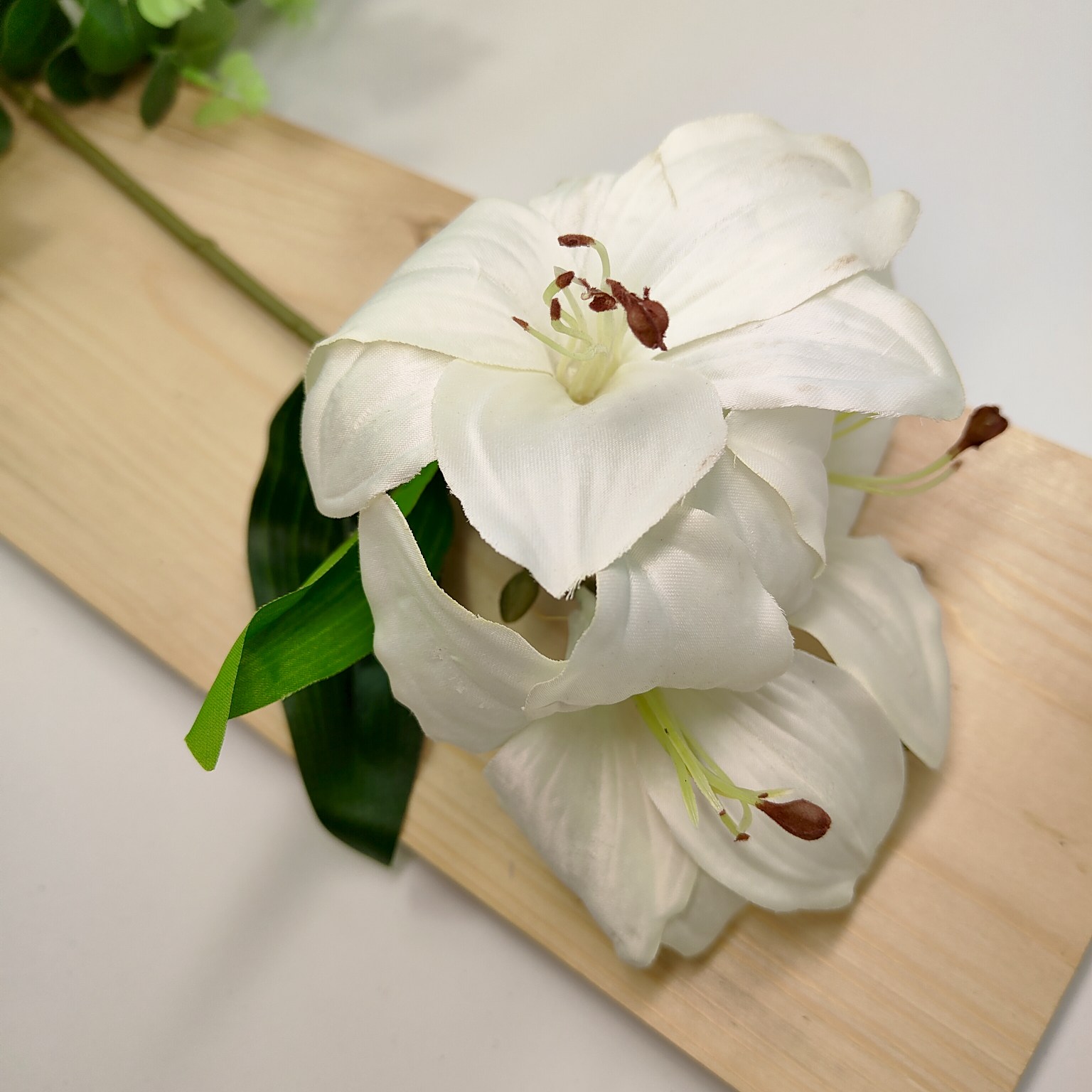 Liliowiec pojedynczy x3 kremowy