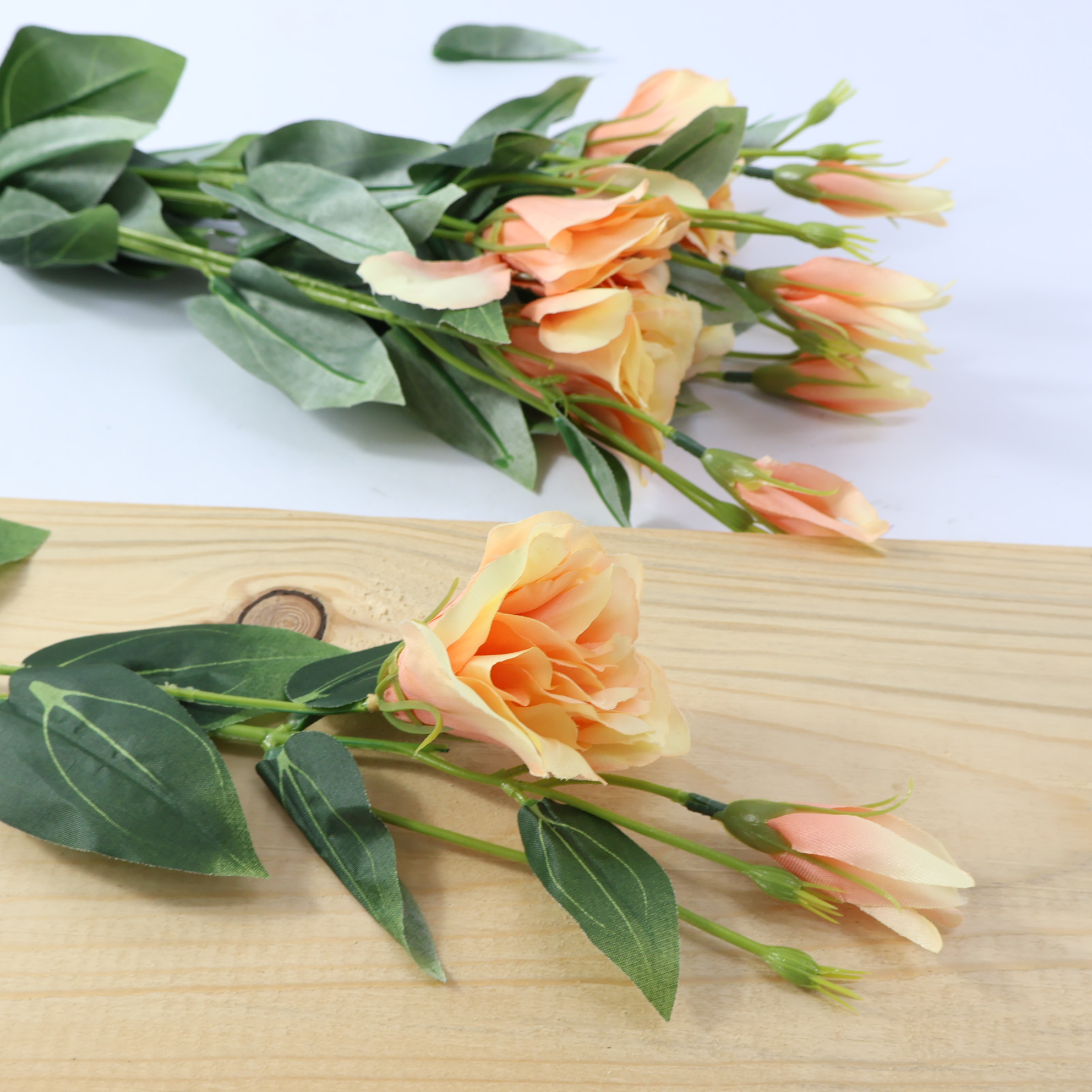 Eustoma pojedyncza łososiowa 6 szt