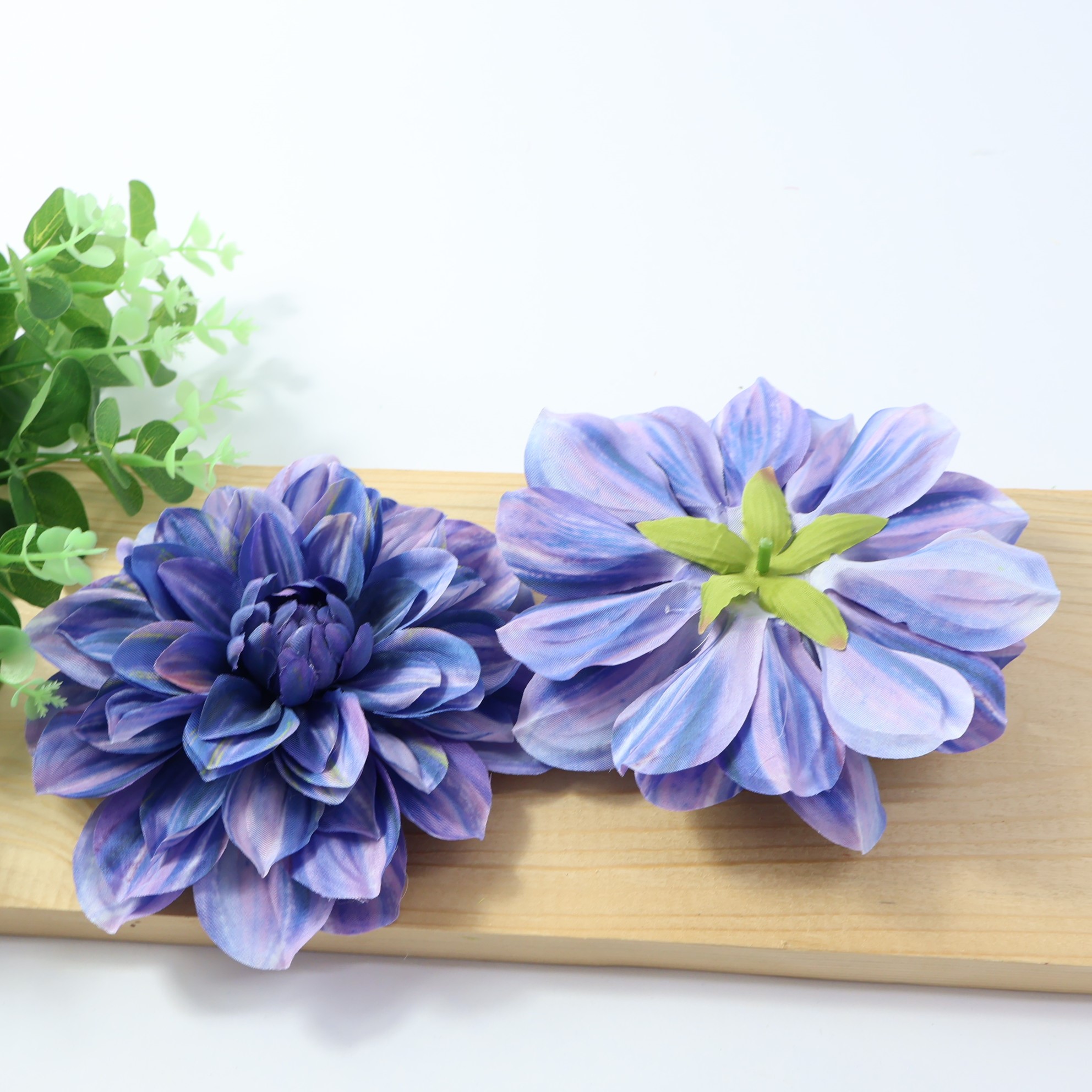 Dalia wyr. tt blue 12 szt