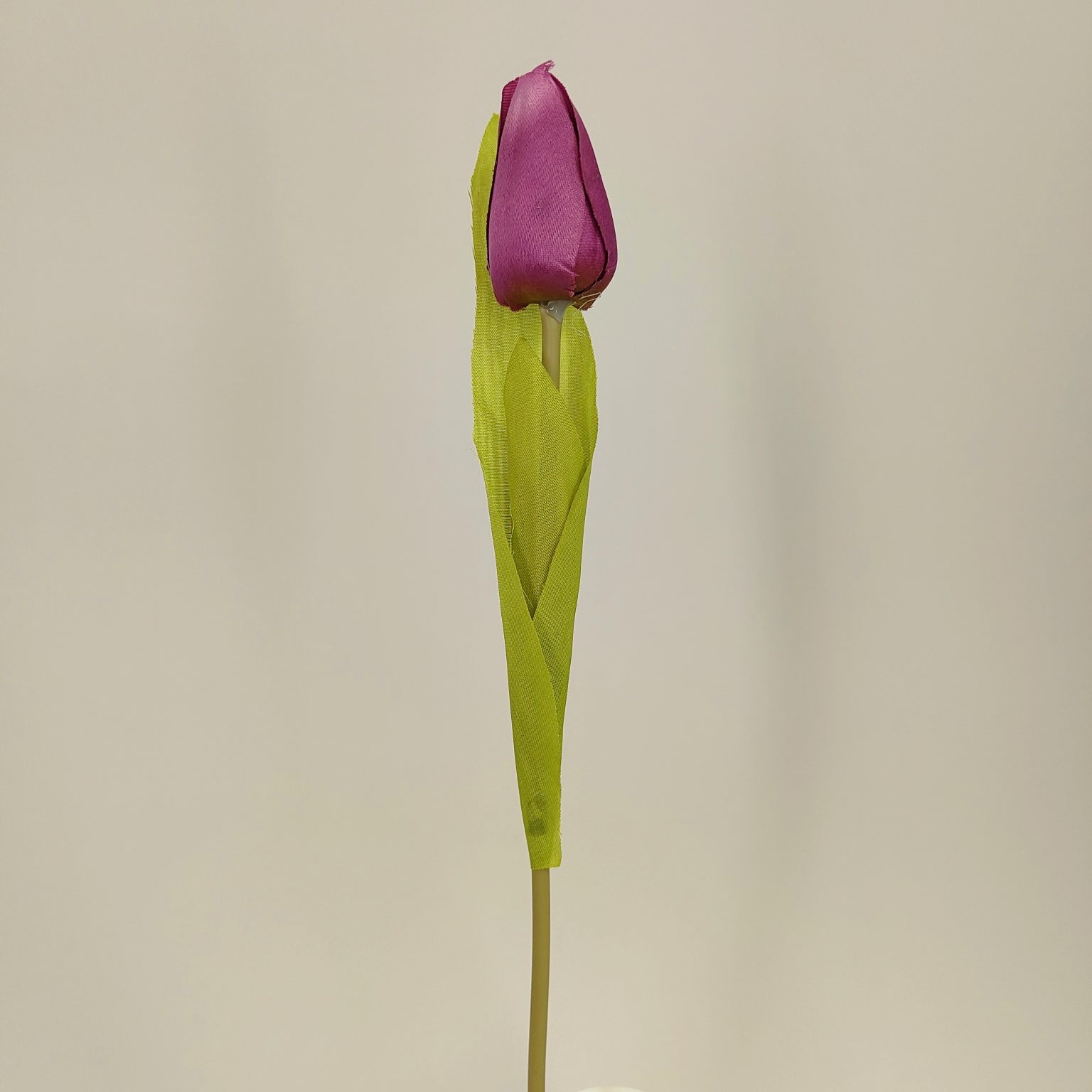 Tulipan pojedynczy M561-8 fioletowy