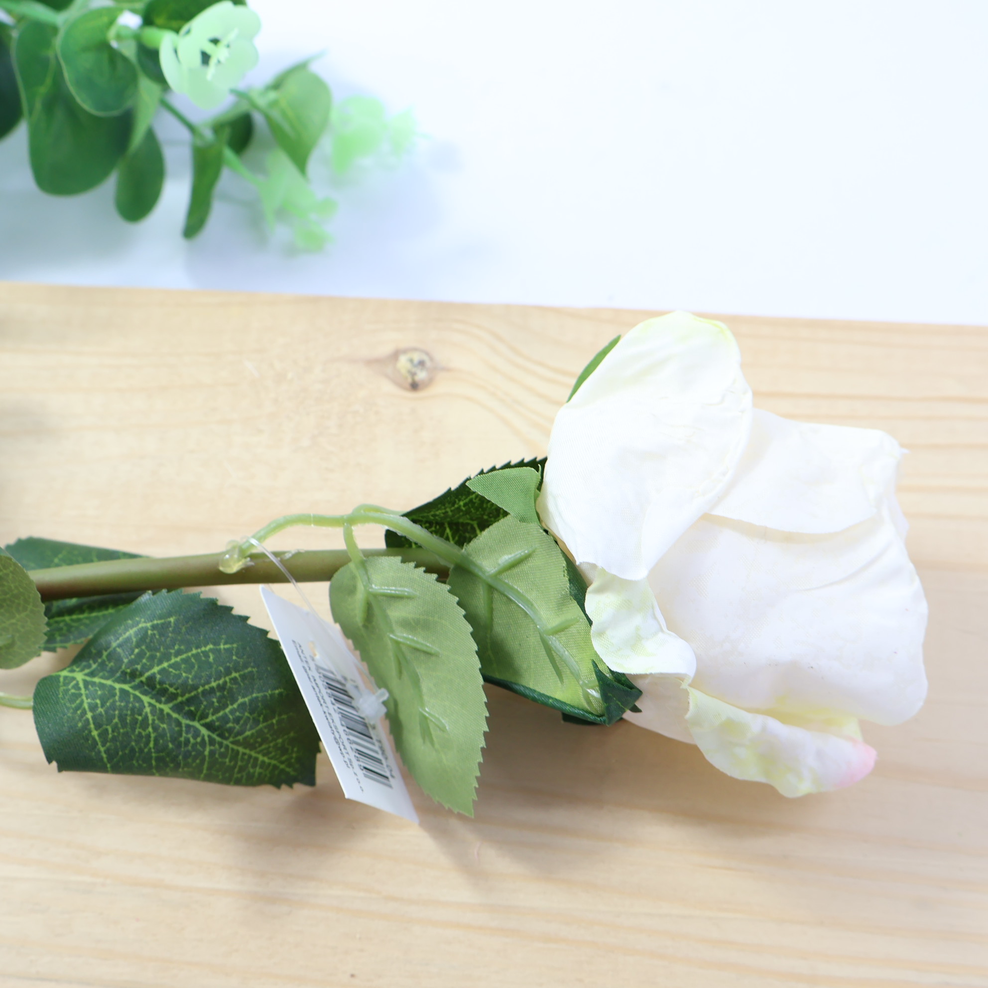 Róża poj podsuszana kremowa