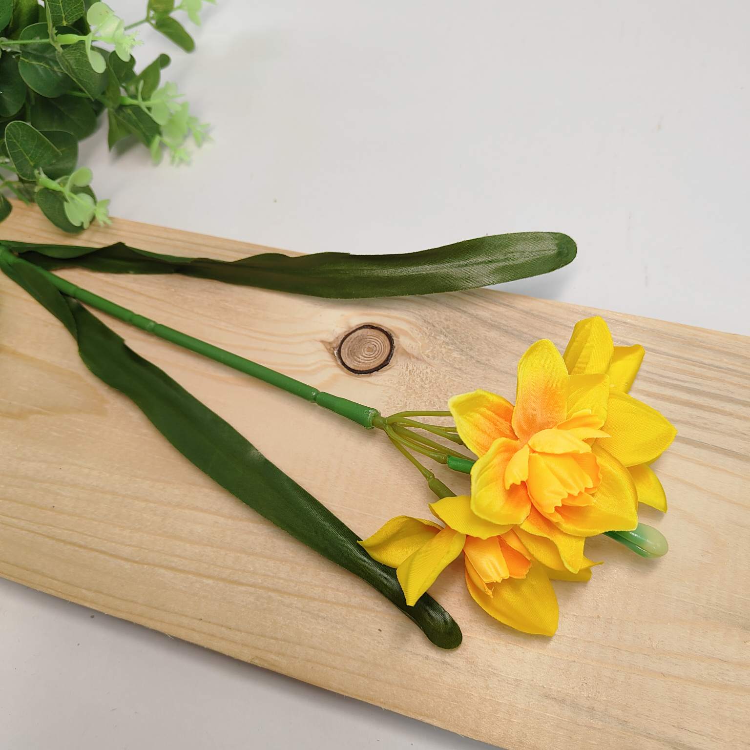 Narcyz pojedynczy żółto pomarańczowy