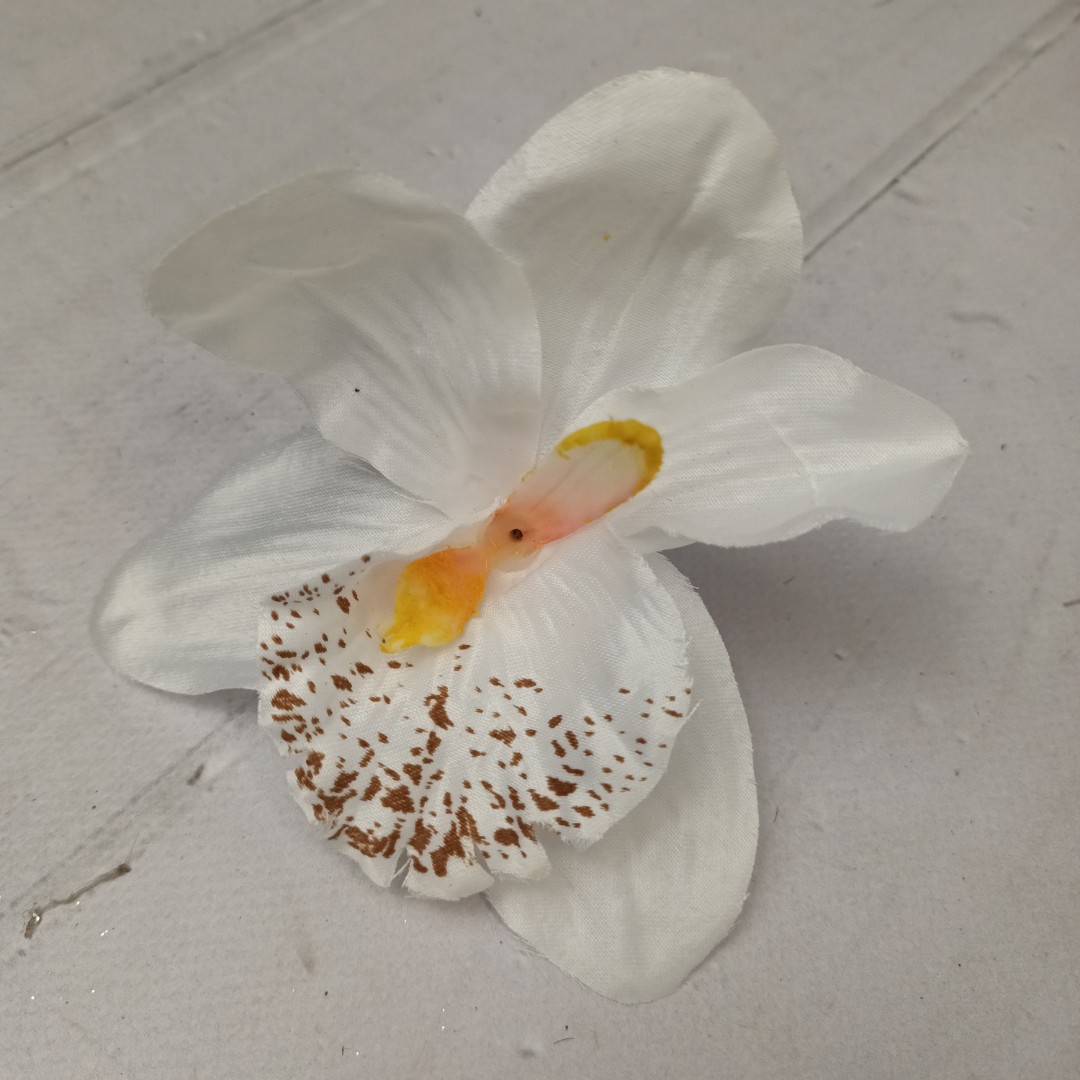 Storczyk wyrobowy 24szt