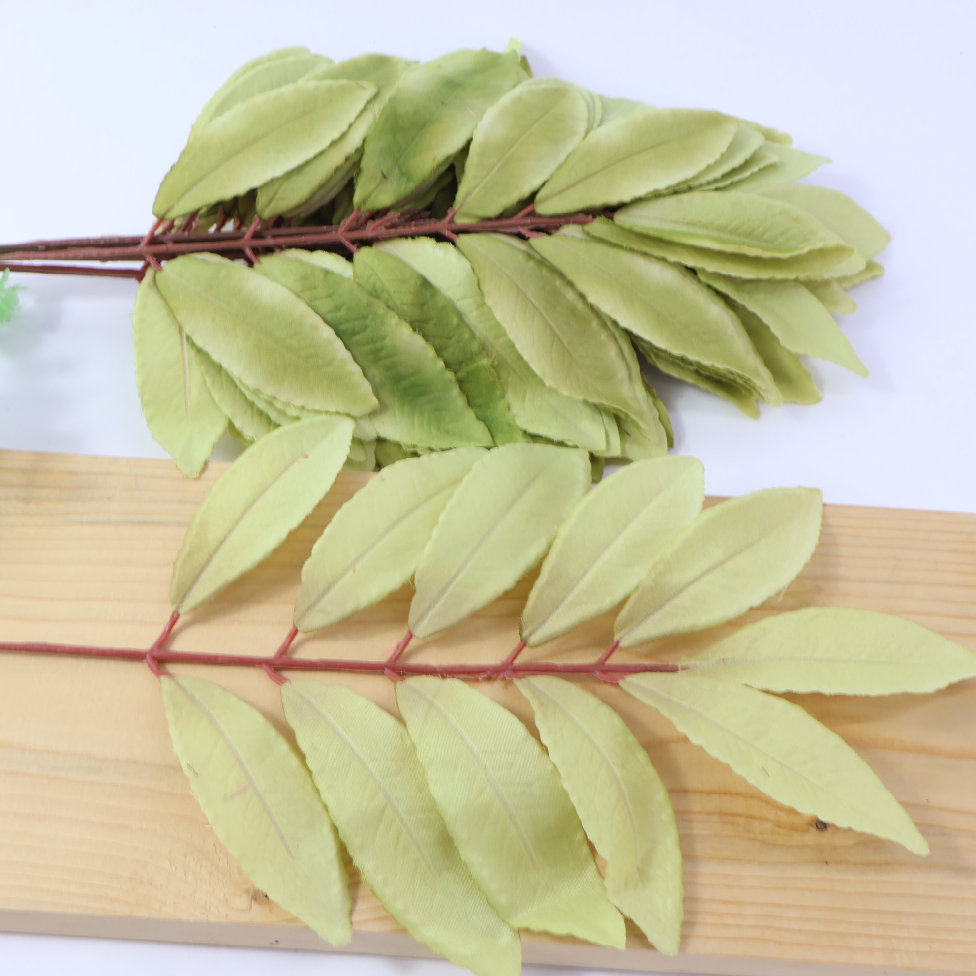 Liść laurowy oliwkowy 12 szt