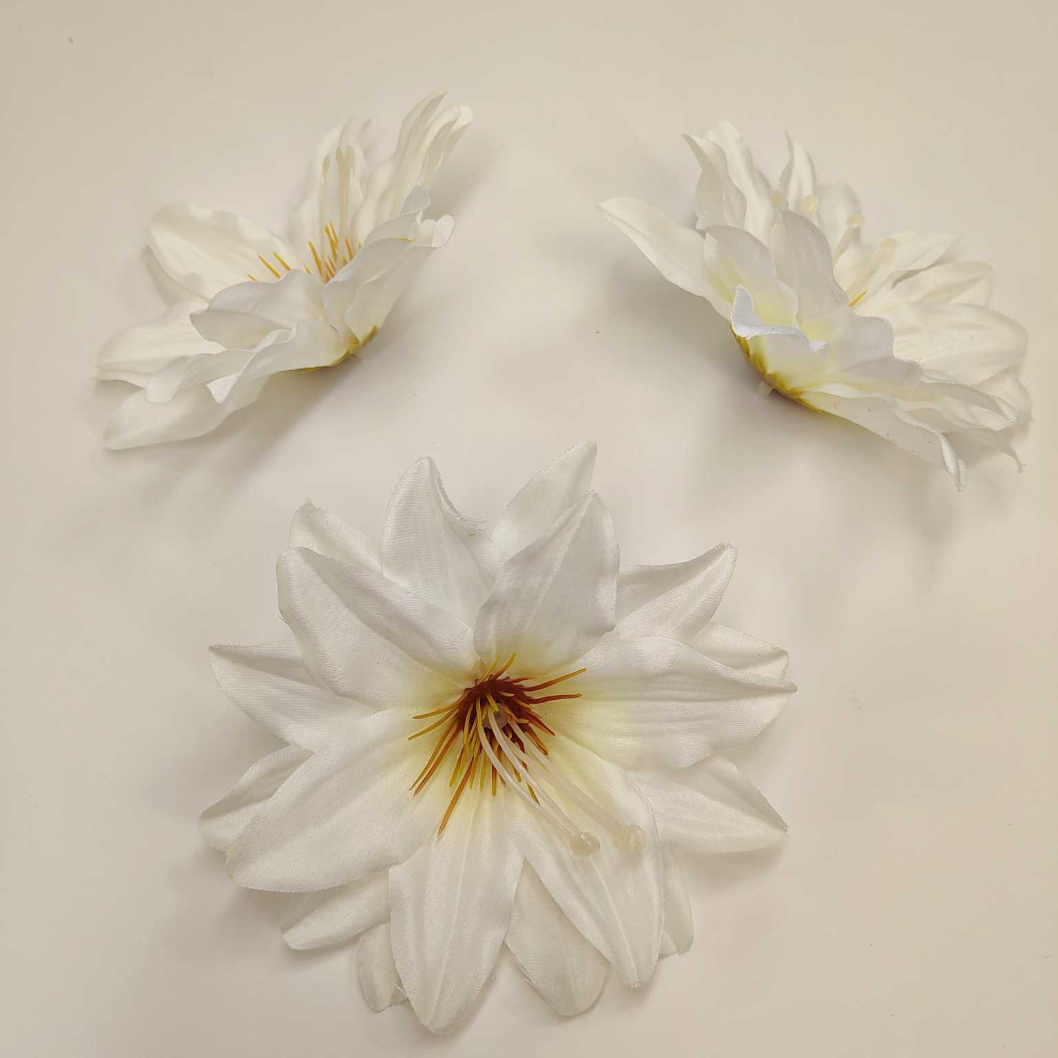 Dalia wyrobowa kremowa 12 szt