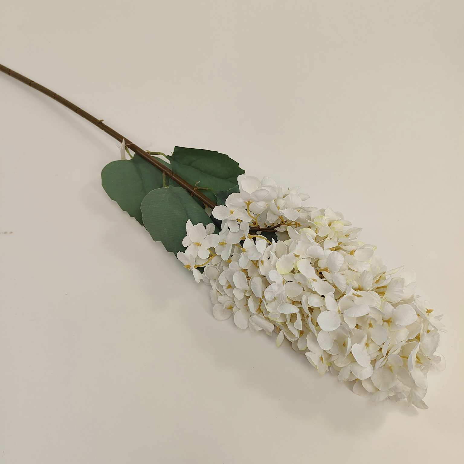 Ostrózka pojedyncza kremowa