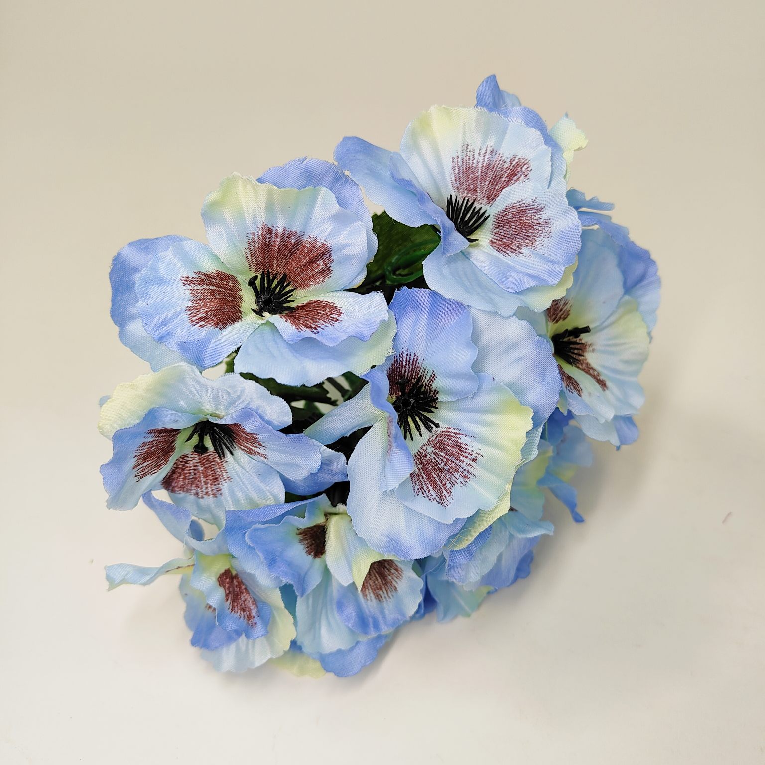 Bukiecik bratek niebieski