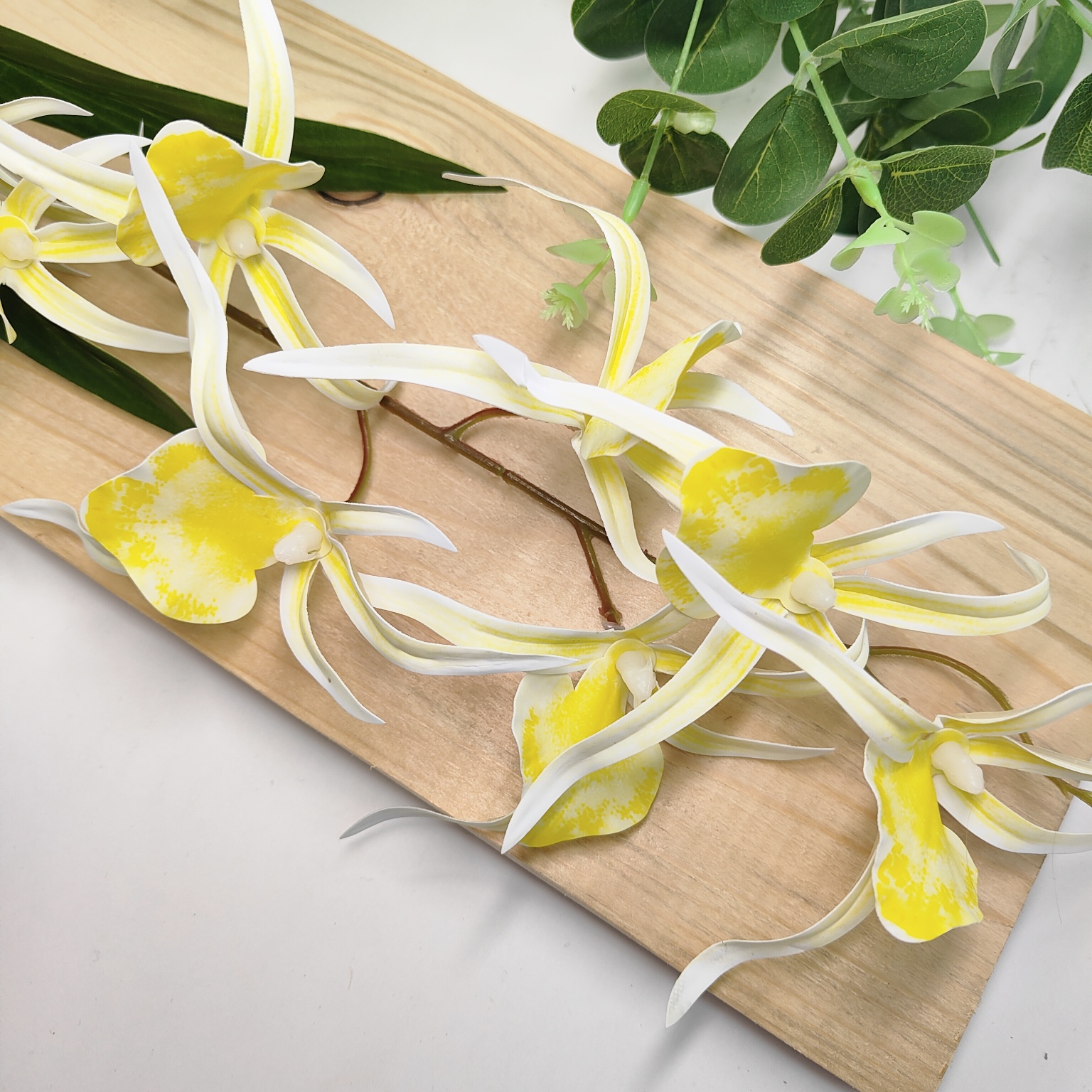 Storczyk pojedynczy gumowany żóły